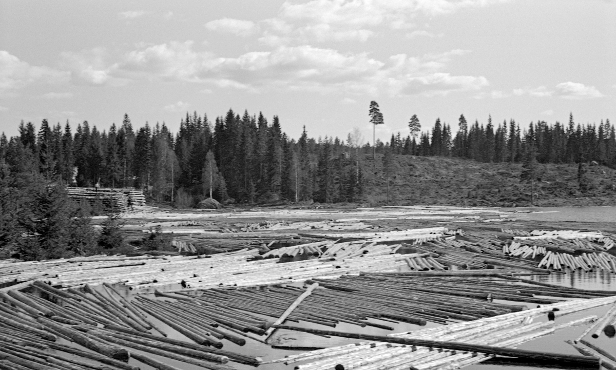 Fløtingstømmer på Nøkktjernet i Austvassåa i Nord-Odal, fotografert i 1954.  Fotografiet viser et tjern der vannspeilet var dekt av flytende, barket tømmer.  Til venstre i bildet skimter vi et par høye strøvelter.  Vi skimter også karene som var i ferd med å rulle tømmerstokker fra disse og ut i tjernet.  På motsatt side av tjernet var det en bakkekam, som delvis var bevokst med barskog, delvis snauhogd.  På hogstflata var det gjensatt et par furuer, antakelig med sikte på at de skulle tjene som frøtrær for en ny generasjon skog. 

Austvassåa eller Bergsåa kommer fra Nøklevatnet, som ligger i grensetraktene mellom Nord-Odal, Åsnes og Grue kommuner, 424 meter over havet.  Derfra renner vassdraget sørvestover i småkupert terreng og passerer flere små sjøer på sin veg mot Storsjøen.  Elva er om lag 17 meter lang, og hele strekningen gikk gjennom skogstrakter og var fløtbar.  Ved utløpene av Nøklevatnet, Søndre Gransjø, Elgsjø, Nøkktjernet og Bakkefløyta var det fløtingsdammer.  I 1954, da dette fotografiet ble tatt, var det innmeldt 90 526 tømmerstokker til fløting i dette vassdraget.