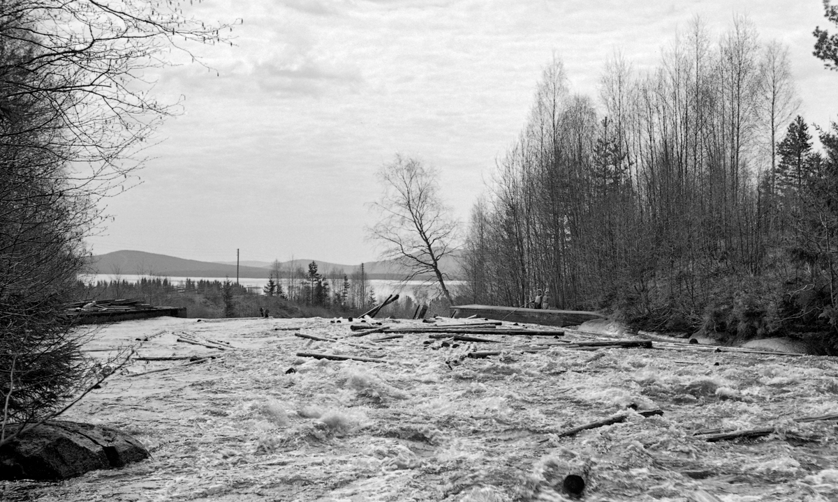 Tømmerfløting i Husifossen i den nedre delen av Austvassåa i Nord-Odal i Hedmark høsten 1954.  Fotografiet er tatt i medstrøms retning, der vi ser tømmerstokkene flyte mot fossefallet, som var innsnevret ved hjelp av to støpte skådammer.  I bakgrunnen ser vi vannspeilet på Storsjøen.

Austvassåa eller Bergsåa kommer fra Nøklevatnet, som ligger i grensetraktene mellom Nord-Odal, Åsnes og Grue kommuner, 424 meter over havet.  Derfra renner vassdraget sørvestover i småkupert terreng og passerer flere små sjøer på sin veg mot Storsjøen.  Elva er om lag 17 meter lang, og hele strekningen gikk gjennom skogstrakter og var fløtbar.  Ved utløpene av Nøklevatnet, Søndre Gransjø, Elgsjø, Nøkktjernet og Bakkefløyta var det fløtingsdammer.  I 1954, da dette fotografiet ble tatt, var det innmeldt 90 526 tømmerstokker til fløting i dette vassdraget.