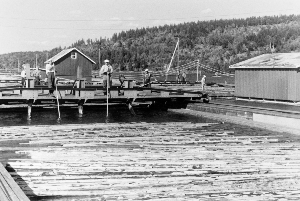 Mosing av fløtingstømmer på den såkalte «B-maskinen» ved Glennetangen lense i nedre Glomma.  Fotografiet er tatt sommeren 1955.  I forgrunnen ser vi barket tømmer som lå i parallelt, tett i tett, i mosekammeret.  I mellomgrunnen ser vi kjørebrua, der det sto et par karer med lange fløterhaker.  Bak disse skimtes flere fløtere.  Bakenfor dem igjen ser vi ei spisebrakke, og, helt til høyre, baksida på maskinhuset til mosemaskinen ved siden av.  I mosekammeret ble tømmer, som på forhånd var sortert etter kjøpere på grunnlag av påhogde merker (symboler), presset sammen.  Dette ble gjort ved å kjøre ei bevegelig bru med nedstikkende stenger eller «sverd» mot ei nedenforliggende «fast» bru med nedstikkende stenger eller sverd av samme type.  Deretter ble to-tre jernvaiere slått rundt tømmeret, som ble til en «mose» (bunt), som deretter kunne slippes ut av mosekammeret.  Etterpå ble mosene bundet sammen – ofte 50 stykker – i slep som ble trukket videre nedover i vassdraget.