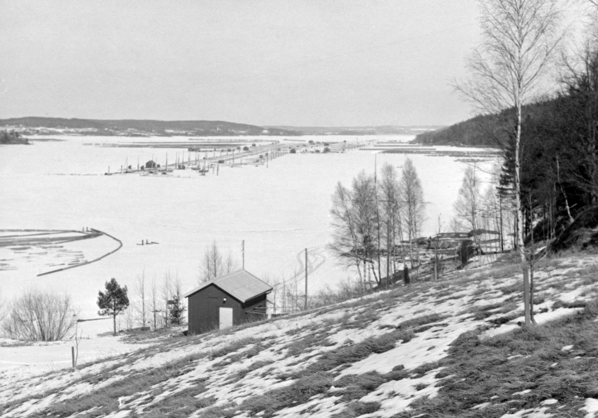 Glennetangen lense i nedre Glomma, sett fra eiendommen Furuholmen i Varteig.  Fotografiet er tatt tidlig på våren i 1958, fra en delvis snødekt bakkeskråning ned mot Glomma og den såkalte Storbogen.  Nederst i bakken, mot vassdraget, stor det et skur i bordkledd bindingsverk med saltak.  Bakenfor ligger elva, is- og snødekt.  Sentralt i den øvre delen av bildet ser vi den nedre delen av lensa, der de fem mosemaskinene på Glennetangen var plassert, med «Etiopia», den såkalte C-maskinen nærmest.  I vannet omkring denne nedre delen av lensa lå det en del sammenbundne slep av moser, i påvente av at slepebåter skulle hente virket og dra det nedover, enten i det østre eller det vestre elveløpet.  Til venstre for lenseanlegget skimter vi et par innfrosne strømvegger på den kvite isflata.  Nederst til venstre i bildet ligger det noe som kan minne om ei ringlense.  Informant Arnt Svartedal (f. 1918), forteller imidlertid at her var det «ei flyndre med to nissær på».  Dette var installasjoner fløterne brukte når de skulle «tørne inn” slep eller ”slenge dem forbi oddær og sånn nerover».