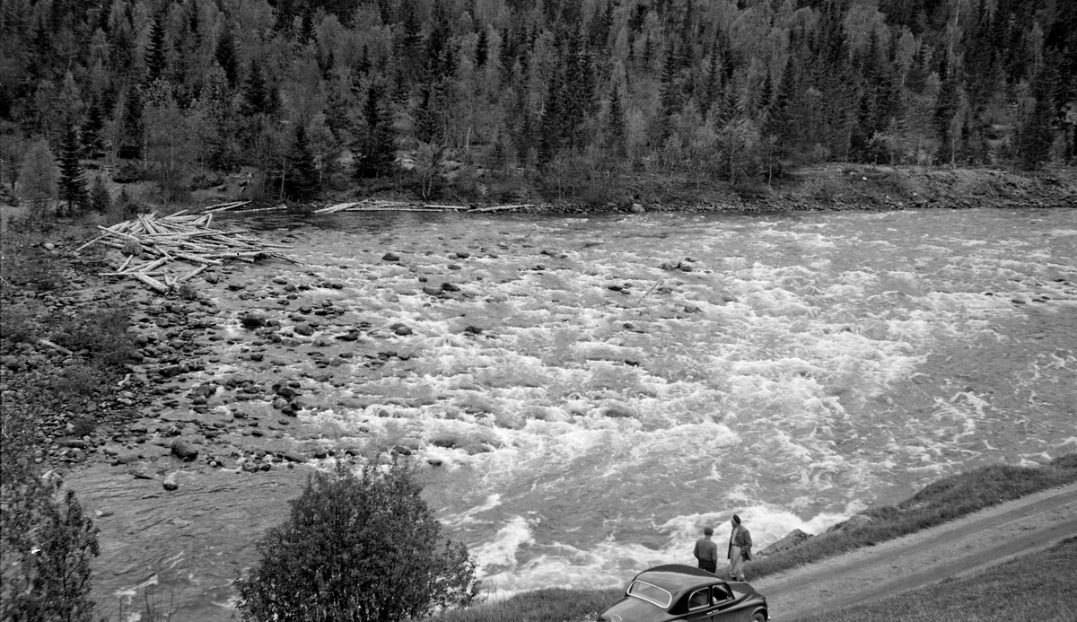 Fra Fossøyra i elva Vinstra i Nord-Fron kommune i Oppland.  Fotografiet er tatt i 1953, fra ei li, ned mot en veg, der to fløtingsfunksjonærer sto ved en bil og så mot et sted der en del tømmer hadde drevet inn i ei steinete bakevje.  Vinstra-vassdraget er drøyt 100 kilometer langt, og har sine kilder i traktene ved Bygdin i Jotunheimen.  Det ble fra gammelt av fløtet fra mange av tilløpselvene i den øvre delen av vassdraget.  Omkring 1900 tok det vanligvis 8-10 dager å få fløtingsvirket fra innsjøen Slangen ned til Vinstras utløp i Gudbrandsdalslågen ved tettstedet Vinstra.  I 1953, det dette bildet ble tatt, ble det innmeldt 70 653 stokker til fløting i Vinstravassdraget.

Litt informasjon om hvordan fløtinga i Vinstravassdraget var organisert vil framgå av «Res. om regler for fællesfløtning i Vinstra vasdrag
i Nordre Frons og Søndre Frons herreder», approbert 1911, som er gjengitt under fanen «Opplysninger».