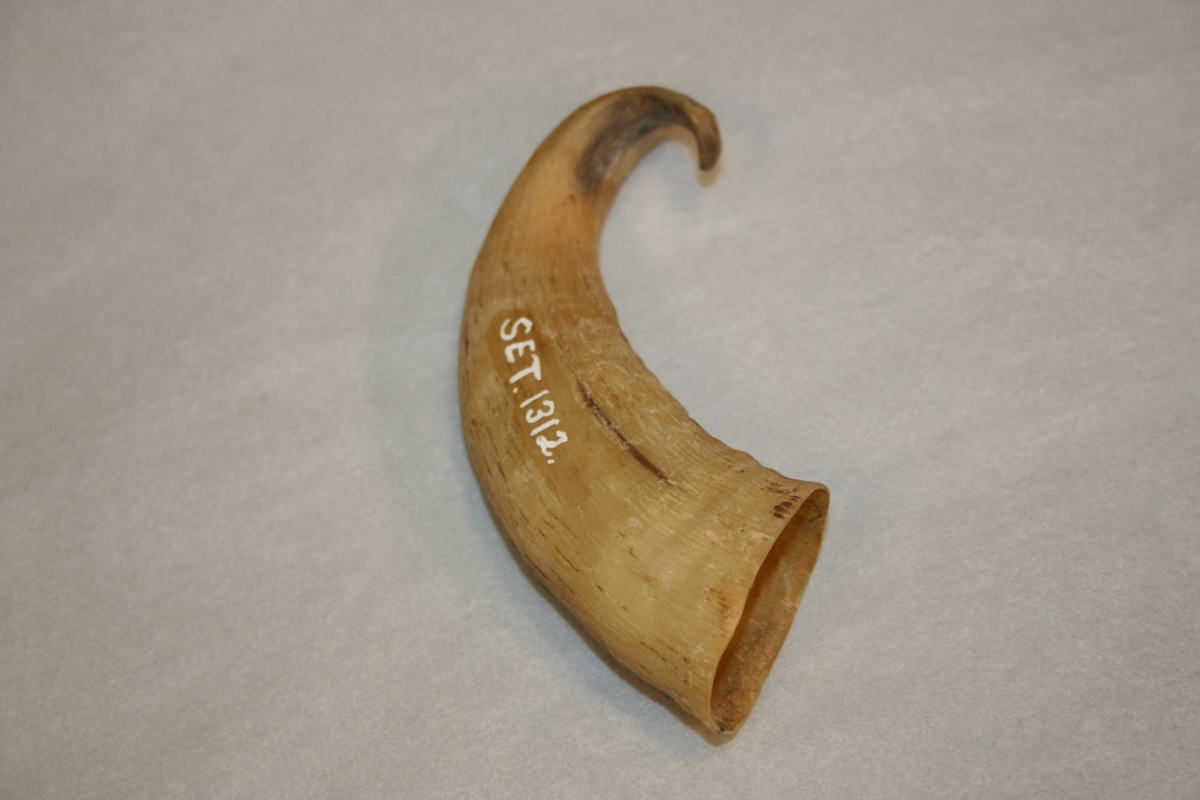 Horn