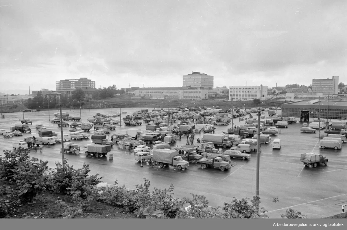 Gartnerhallen. Sju hundre biler og grytidlig travelhet - fem års torgdrift på Økern. Juli 1967