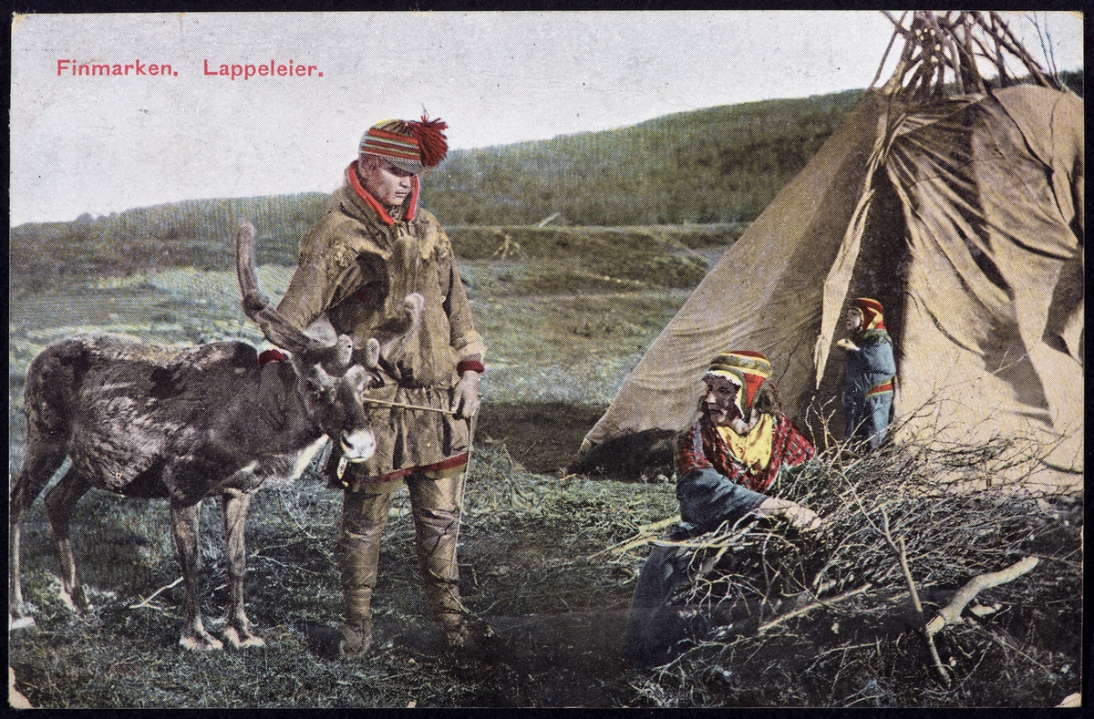 Sameleir. "Finmarken. Lappeleier" Håndkolorert brevkort.
