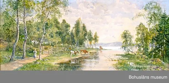 Anna-Maria Gardell-Ericson. Född i Sverige 1853, död 1939.
Landskap vid Mjörn. 53 x 102. Akvarell och gouache.

MONTERING/RAMNING
Rikt profilerad halvrund förgylld träram av furu. Triangulära förstärkningar i hörnen. Rester av fastklistrat papper runtom ramen och del av innerramen.

UPPGIFTER PÅ BAKSIDAN
På ramen mycket svaga rester av en tryckt sirligt dekorerad oval stämpel med sifferuppgifterna: "59......59" (troligen adress).

Övrig historik se JJ01