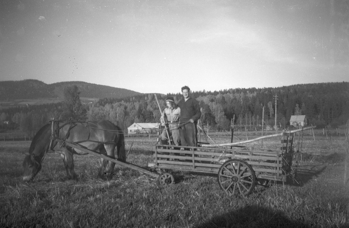 Hest, høyvogn, hestekjøretøy, ukjente, Åstad gard, Ring. Gnr. 365, bnr. 1-9.