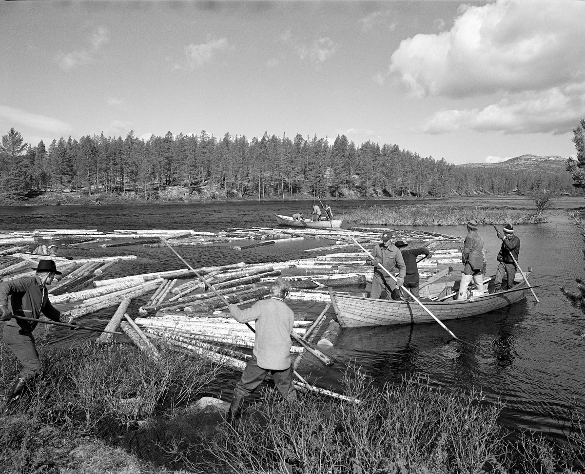 Såkalt «sluttrensk» ved Ulvåoset i Femundselva i Engerdal.  Fotografiet er tatt under tømmersfløtinga i Trysilvassdraget våren 1986.  Vi ser to fløterbåter, den ene med tre, den andre med fire mann om bord, ved en ringbom.  Bommen ble øyensynlig ble brukt til å samle opp gjenliggende tømmer som skulle videre nedover vassdraget, mot Trysil og Värmland.  Ved elvebredden i forgrunnen arbeidet to fløtere med langskaftete fløterhaker med å skyve stokker som hadde lagt seg mot land inn i bommen.

I 1986 var det innmerket om lag 90 000 kubikkmeter tømmer til flørting i den norske delen av dette vassdraget.  Klarälvens Flottningsförening hadde engasjert 23 fløtere som skulle bistå med å få stokkene trygt ned til det punktet der Trysilelva passerer grensa mot Sverige og Värmland.