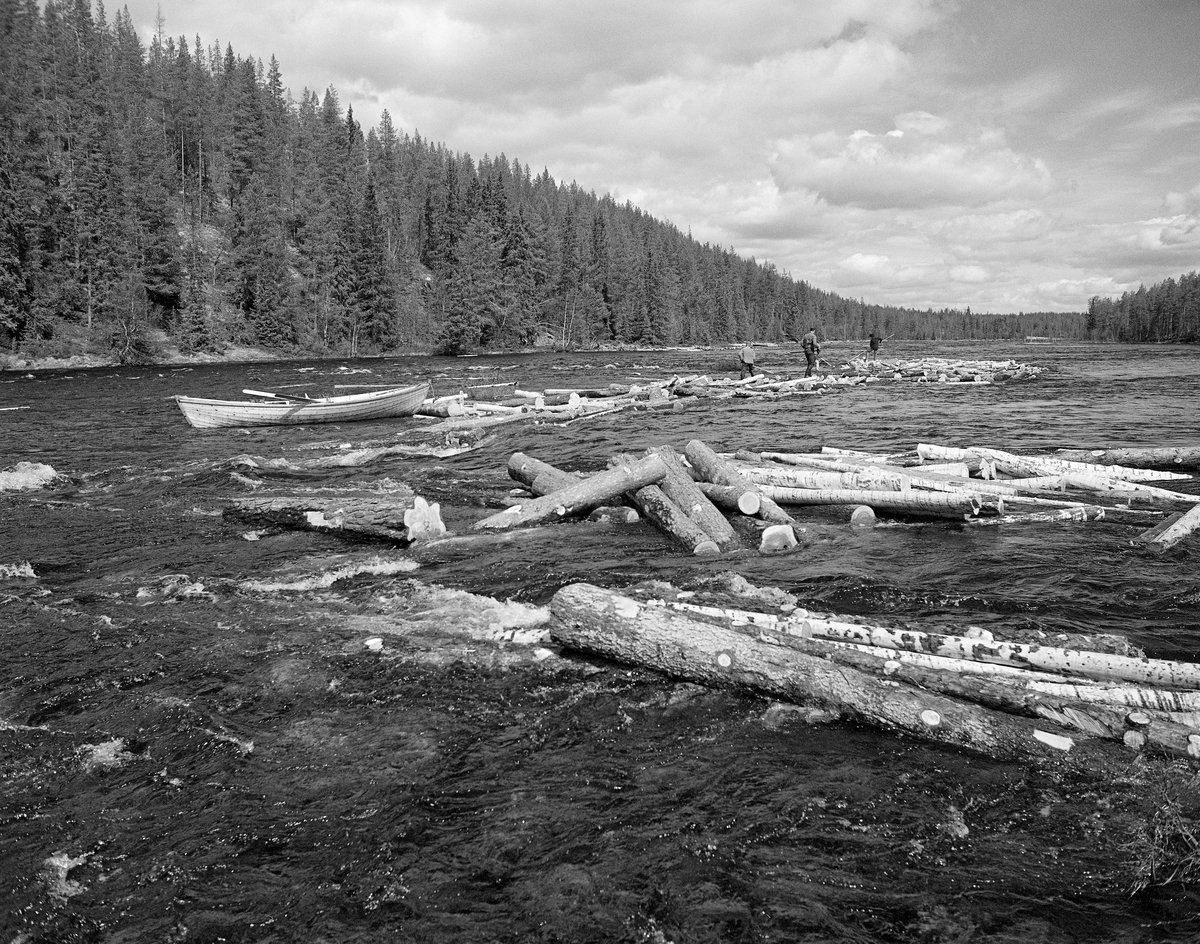 Tømmer i Muggfossen i Femundselva våren 1986.  Fotografiet ble tatt under «sluttrensken» i den øvre delen av Trysilvassdraget.  Det viser hvordan stokkene hadde lett for å bli liggende på oppstikkende steiner i elvefaret når vårflommen var på retur.  Her var det en såpass stor opphopning av fastsittende tømmer at fløterne hadde tatt seg ut til tømmervasen og fortøyd båten sin der, for å kunne «arbeide ut» stokkene ved hjelp av hakene.  Båttypen vi ser på bildet ble mye brukt blant fløterne i Trysilvassdraget.  Den var om lag 5,5 meter lang, lagd av forholdsvis smale, tynne furubord som var sammenføyd med «kinger», jernkramper, i steden for vanlig båtsøm (klinknagler).  Fløterbasen Kåre Joar Graff lagde sjøl slike båter, et handverk han hadde lært av onkelen Ole K. Rømoen, som også hadde arbeidet i fløtinga.