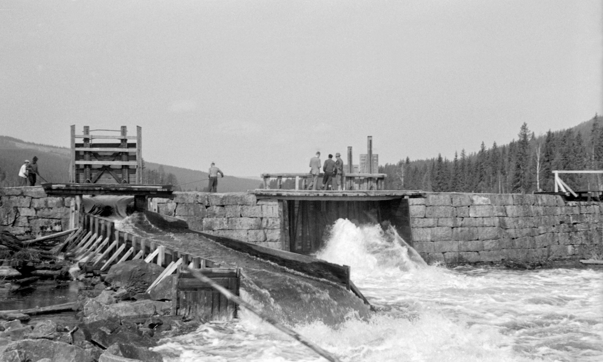 Høversjødammen, ved enden av Høversjøen, som ligger lengst sør i Østre Toten kommune i Oppland, mens elveløpet nedenfor (Høverelva) ligger i Hurdal i Akershus.  Fotografiet viser en stor dam, bygd av kvadrete steinblokker.  Dammen hadde to åpninger, et hovedløp med lukestengsel (sentralt i bildet) og et tømmerløp mot ei renne (til venstre i bildet).  Også denne siste renna hadde lukestengsel, men det sto i åpen stilling da fotografiet ble tatt, og over damkrona skimter vi et par karer med fløterhaker som ledet stokkene mot renna.  På dambrua over hovedløpet sto tre andre menn, hvorav to etter antrekkene å dømme må ha vært fløtingsfunksjonærer, og betraktet vannreservoaret.