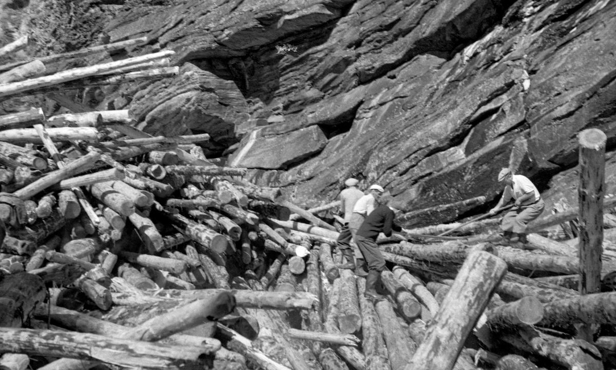 Fire fløtere i arbeid med å løsne en tømmervase som hadde kilt seg fast i Harpefossen i Sør-Fron kommune i 1952.  Harpefossen var navnet på en cirka en kilometer lang strekning i Gudbrandsdalslågen, hvor vassdraget hadde et fall på om lag 25 meter over en strekning på om lag en kilometer, i et terreng der eleveløpet gikk gjennom et trangt skar omgitt av bratte bergvegger.  Ved høy vannføring gikk fløtinga likevel ganske greit her, men ved lavvann kunne det lett oppstå situasjoner som den vi ser på dette fotografiet.  Å løsne slike tømmervaser eller hauger var naturligvis farlig arbeid.  På dette bildet ser vi fire karer fra Martin Nygårds fløterlag på en tømmervase som satt fast mellom bratte bergvegger.  Karene slo hakene sine i tømmerstokkene og forsøkte ved felles anstrengelse å trekke dem i medstrøms retning slik at det kunne flyte videre med strømmen i den «frie» delen av vassdraget (bak fotografen).  Slik arbeidet fløterlaget seg langsomt i motstrøms retning.