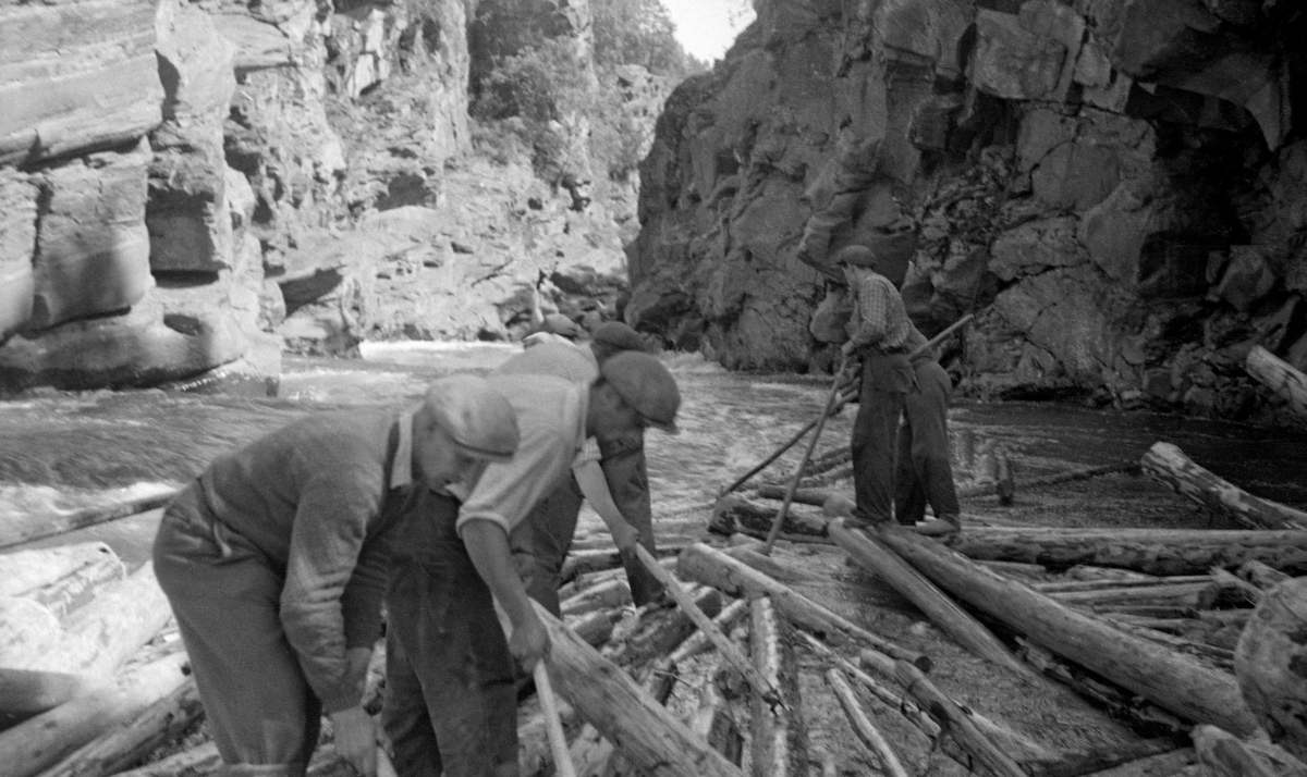 Seks fløtere i arbeid med å løsne en tømmervase som hadde kilt seg fast i Harpefossen i Sør-Fron kommune i 1952.  Harpefossen var navnet på en cirka en kilometer lang strekning i Gudbrandsdalslågen, hvor vassdraget hadde et fall på om lag 25 meter over en strekning på om lag en kilometer, i et terreng der eleveløpet gikk gjennom et trangt skar omgitt av bratte bergvegger.  Ved høy vannføring gikk fløtinga likevel ganske greit her, men ved lavvann kunne det lett oppstå situasjoner som den vi ser på dette fotografiet.  Å løsne slike tømmervaser eller hauger var naturligvis farlig arbeid.  På dette bildet ser vi medlemmer av Martin Nygårds fløterlag nederst på en tømmervase som satt fast mellom bratte bergvegger.  Karene slo hakene sine i tømmerstokkene og forsøkte ved felles anstrengelse å trekke eller skyve dem i medstrøms retning, slik at det kunne flyte videre med strømmen i den nedenforliggende «frie» delen av elveløpet.  Slik arbeidet fløterlaget seg langsomt i motstrøms retning.