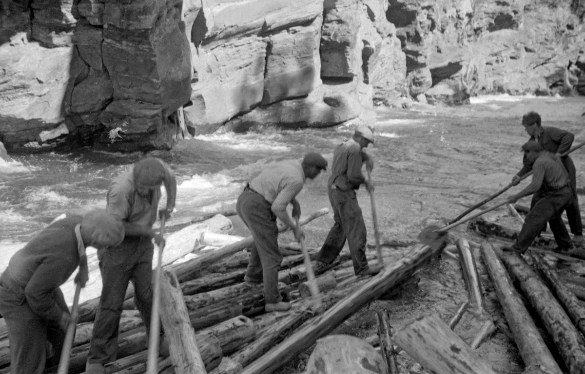 Seks fløtere i arbeid med å løsne en tømmervase som hadde kilt seg fast i Harpefossen i Sør-Fron kommune i 1952.  Harpefossen var navnet på en cirka en kilometer lang strekning i Gudbrandsdalslågen, hvor vassdraget hadde et fall på om lag 25 meter over en strekning på om lag en kilometer, i et terreng der eleveløpet gikk gjennom et trangt skar omgitt av bratte bergvegger.  Ved høy vannføring gikk fløtinga likevel ganske greit her, men ved lavvann kunne det lett oppstå situasjoner som den vi ser på dette fotografiet.  Å løsne slike tømmervaser eller hauger var naturligvis farlig arbeid.  På dette bildet ser vi medlemmer av Martin Nygårds fløterlag nederst på en tømmervase som satt fast mellom bratte bergvegger.  Karene slo hakene sine i tømmerstokkene og forsøkte ved felles anstrengelse å trekke eller skyve dem i medstrøms retning, slik at det kunne flyte videre med strømmen i den nedenforliggende «frie» delen av elveløpet.  Slik arbeidet fløterlaget seg langsomt i motstrøms retning.