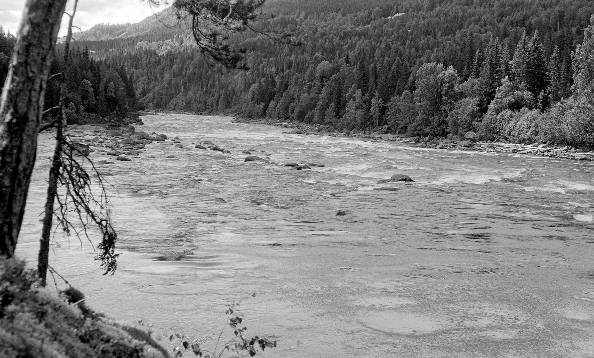 Parti fra Gudbrandsdalslågen, nedenfor Hunderfossen.  Fotografiet er tatt fra en bergskrent på Øyer-sida (østsida) av elva.  I forgrunnen ser vi et forholdsvis stilleflytende parti, men nærmere motsatt elvebredd (Fåberg-sida) ser vi at vannet flyter raskere i et steinete elveløp med kvite skumtopper.  Langs bredden lå det en del strandet fløtingstømmer.  Langs elvebreddene vokste det skog, med lauvtrær nærmest elva og mer barskog oppover i liene.  Fotografiet ble tatt i 1961, antakelig for å dokumentere vannføringa i denne delen av vassdraget, før kraftverket ved Hunderfossen sto ferdig.