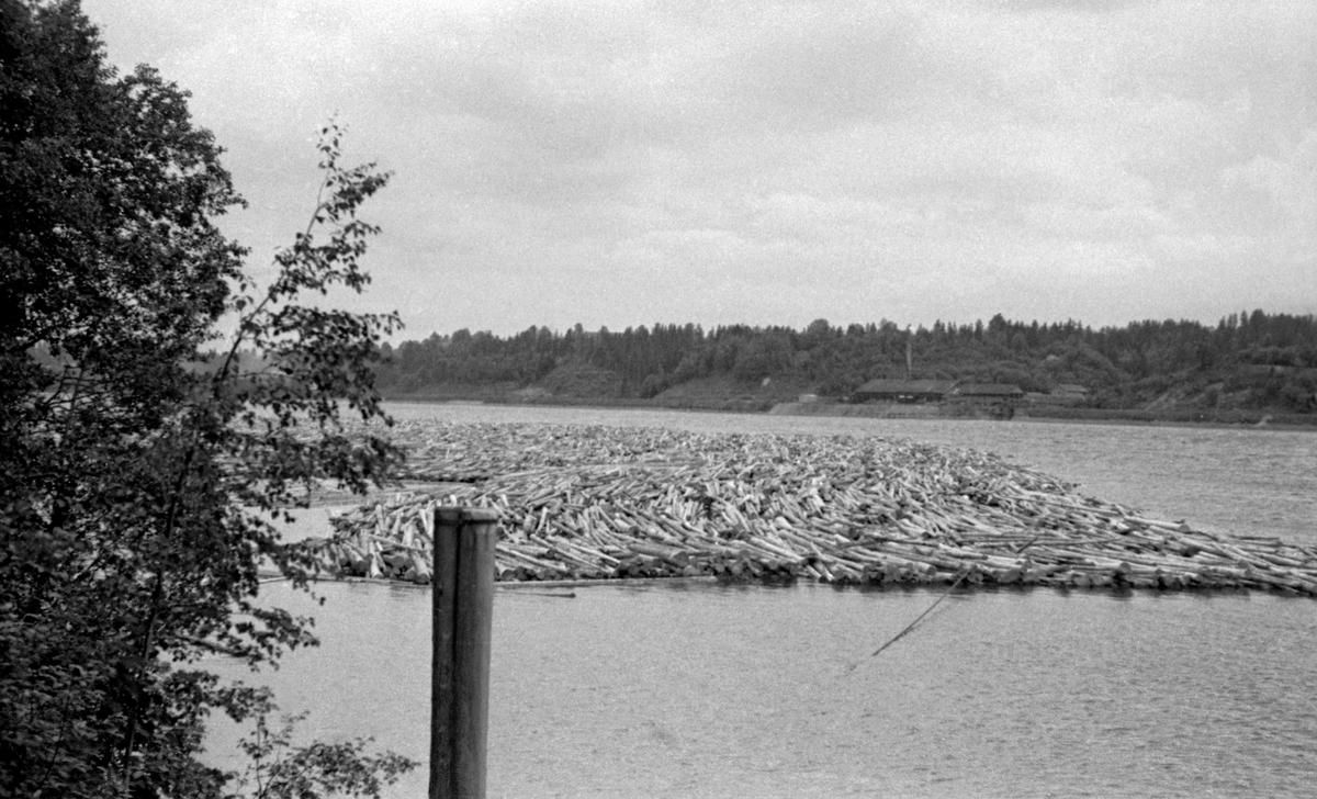 Flytende tømmeropplag i elva Vorma i Eidsvoll kommune på Øvre Romerike.  Fotografet er tatt fra elvas østre bredd, like ved fløterhytta Røkholt, noprd for Sundet.  Her ble tømmer som hadde vært slept over Mjøsa i bunter (også kalt «moser» eller «sopper») ankret opp i påvente av at fløterne skulle komme og løsne vaierbindene.  Videre nedover vassdraget mot Fetsund i nordenden av innsjøen Øyeren i Akershus ble tømmeret nemlig løsfløtet.  Dette fotografiet ble tatt i 1952.  På motsatt side av elva skimter vi bygningene (forbrenningsovn, pipe og spisebrakke) på Baadshaug teglverk, om ble anlagt i slutten av 1890-åra på gardene Bådshaugs og Kommisruds grunn.