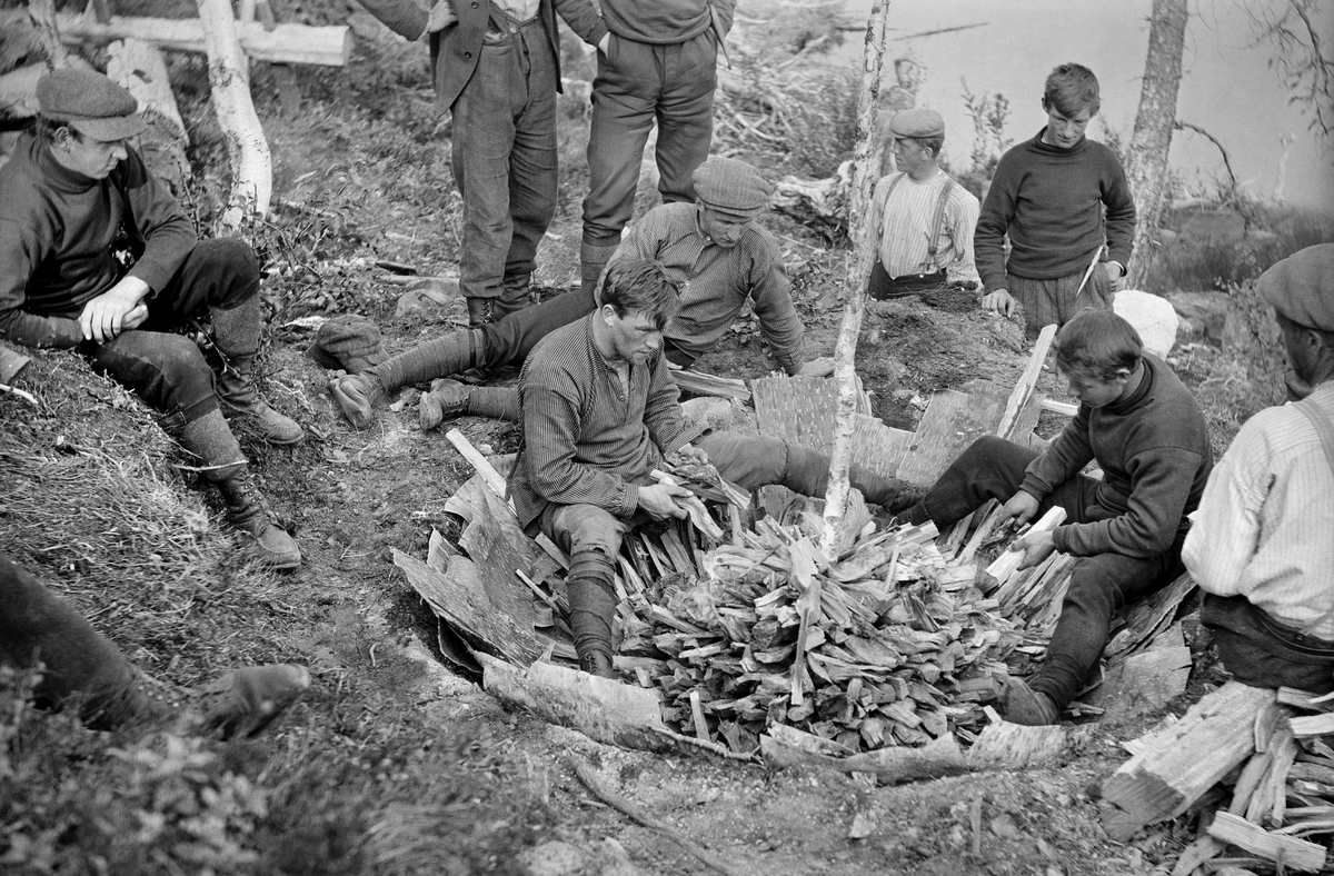 Ei gruppe unge menn – antakelig skogskoleelever – fotografert mens de lagde ei tjæremile.  Fra opptaksstedet framsto mila som ei skålformet grop i bakken, plassert på en bakkekam, der det kunne legges et rør fra et hull sentralt i milebotnen mot et uttappingssted i den nedenforliggende bakkeskråningen.  Botnen av gropa var dekt av neverflak, som var lagt overlappende, som takstein.  På dette underlaget la kolbrennerne finkløvd tyrived fra gamle furustubber.  Veden ble, som dette fotografiet viser, lagt konsentrisk med tjukkendene ut fra en bjørkestrange som var plassert i hullet i midten av milebotnen.  Denne måten å legge veden på gjorde at mila etter hvert fikk en kuppelform.  Veden ble gjerne banket på plass ved hjelp av ei diger treklubbe, slik at den skulle ligge kompakt, gjerne med den feiteste veden innerst.  Når all veden var på plass, altså på et seinere tidspunkt enn da dette fotografiet ble tatt, ble mileveden dekt med et tynt barlag, og utenpå dette la tjærebrennerne et torvlag med grassida innovervendt.  Så kunne tjæremila tennes via åpninger i miledekket langs ytterkantene, og når veden der var antent ble åpningene stengt.  Deretter fortsatte veden å ulme, næret av en ørliten oksygentilførsel gjennom miledekket.  Slik fortsatte forkolingsprosessen langsomt, fra yttersonen mot sentrum av mila.  Tjærestoffene drives ut av veden av varmen under miledekket, og drives foran forkolingsprosessen mot hullet midt i milebotnen.  Derfra føres de via et rør mot den nedenforliggende bakkeskråningen, der tjæra renner langsomt over i tønner