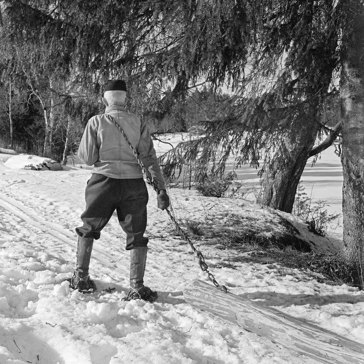 August Herstadhagen fra Elverum, fotografert da han demonstrerte handlunning av en barket tømmerstokk på Prestegardsjordet nord for Norsk Skogbruksmuseum vinteren 1971. Herstadhagen hadde banket en jernkrok inn i yteveden ved den ene stokkenden.  I denne kroken var det festet ei vridd vidje, som Herstadhagen etterpå la over skuldra for å kunne trekke med seg stokken på snøen. Ved samme anledning viste Herstadhagen også hvordan han kunne utføre det samme arbeidet med en kjelke eller slede, en såkalt stutting, som hjelperedskap (jfr. f. eks. SJF.1996-01395). Herstadhagen var kledd i mørke vadmelsbukser og lys dongerijakke.  Han hadde votter på hendene og svart østerdalslue på hodet.  På beina hadde han lærstøvler og snøsokker, samt vidjetruger, som skulle forebygge at han tråkket for lang ned i laussnøen.  Fotografiet er tatt under en demonstrasjon på Elverum prestegards grunn, mot Glomma, like nord for Norsk Skogbruksmuseum.