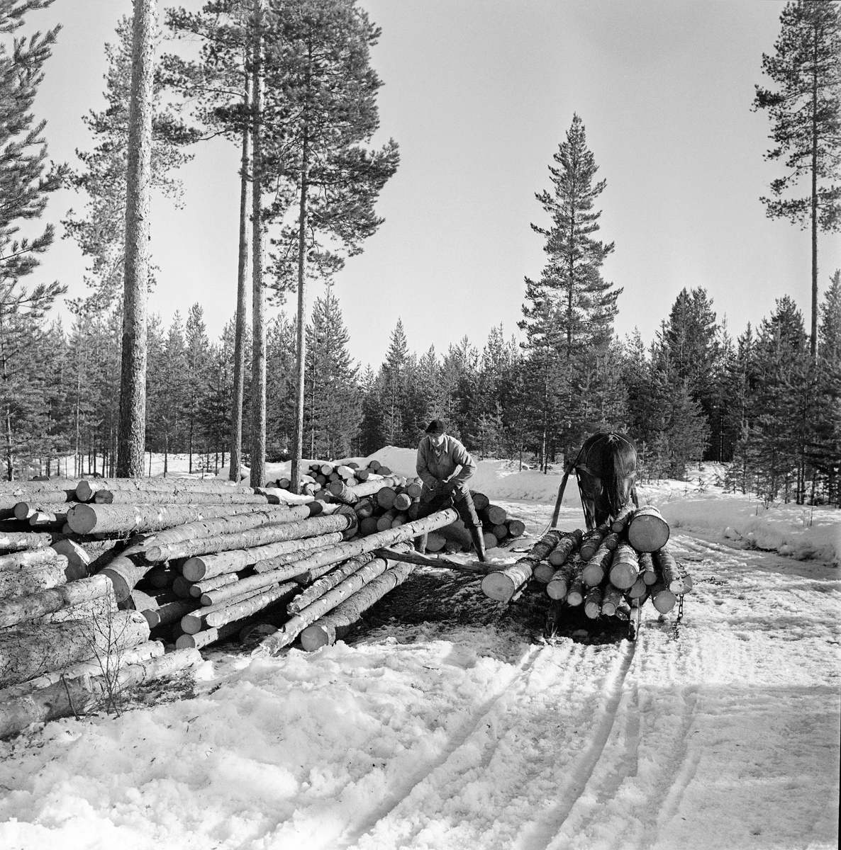 Jørgen Larsen (1919-1988) fra Hernes i Elverum lesser grantømmer i Stavåsen vinteren 1971.  Bildet viser hvordan tømmerkjøreren fikk stokkene opp på tømmerlunna ved å bruke ei såkalt «kjerring», «lassmerr» eller «lesseknekt», en stokk det er hogd hakk i, og som er lagt skrått mot lunnas midtparti. Hakkene i denne stokken ble brukt som anleggs- og vippepunkter når tømmeret skulle opp på toppen av lunna.  Da dette fotografiet ble tatt lå det fortsatt igjen en god del tømmer på rustningen, den todelte tømmersleden Jørgen Larsen arbeidet med.  Tømmerkjøreren var kledd i vadmelsbukse og vindjakke.  Han hadde østerdalslue på hodet og langskaftete gummistøvler på beina.