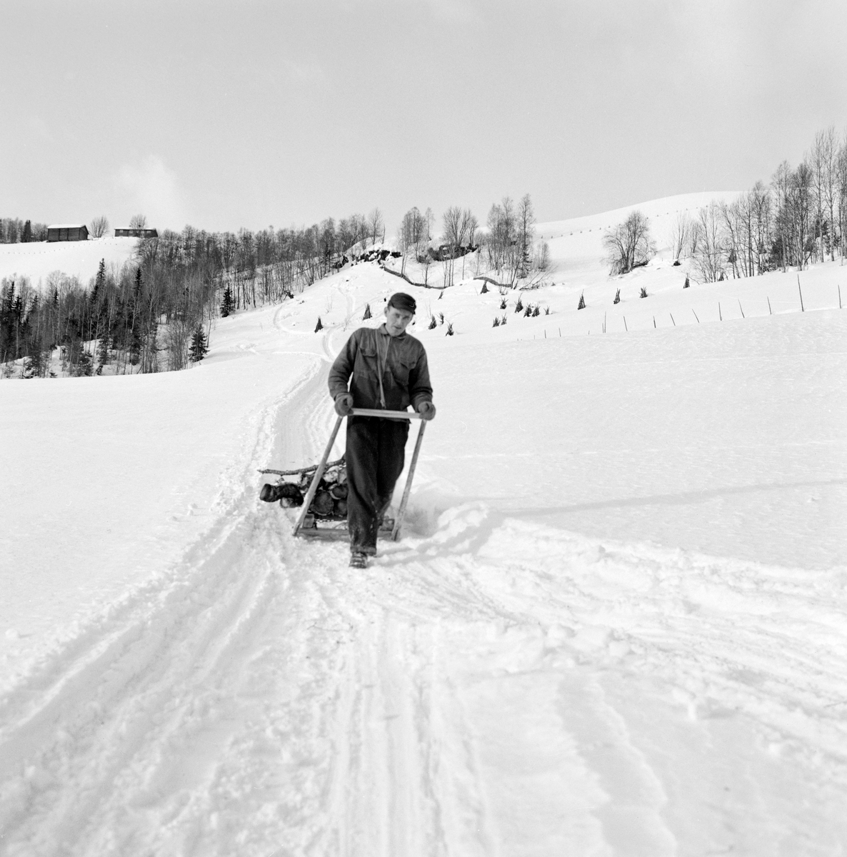 Mann med vedlass på skikjelke.  Fotografiet er tatt på et snødekt jorde, nederst i ei forholdsvis bratt li, der vi skimter gjenstående vedreis på et beiteareal noe høyere oppe.  Spor i vegen i forgrunnen tyder på at det avbildete lasset slett ikke var det første vedlasset som ble kjørt ned denne vinteren.  Mannen står i et drag, ei rektangulær ramme, tappet sammen av to dragtrær med et tverrtre i hver ende.  Med dette draget kan mannen styre og bremse kjelken med veden i det bratte lendet.  Dette fotografiet ble tatt i forbindelse med at Norsk Skogbruksmuseum produserte en kulturhistorisk dokumentasjonsfilm om tradisjoner knyttet til transport av tømmer og ved i det bratte lendet i Vestre Gausdal.  I de opptakssekvensene dette fotografiet er hentet fra var det Arne Hole og Hans Bårdslistuen som viste arbeidsmetodene sine.  Vi vet imidlertid ikke hvem av karene som fører kjelken på dette fotografiet.