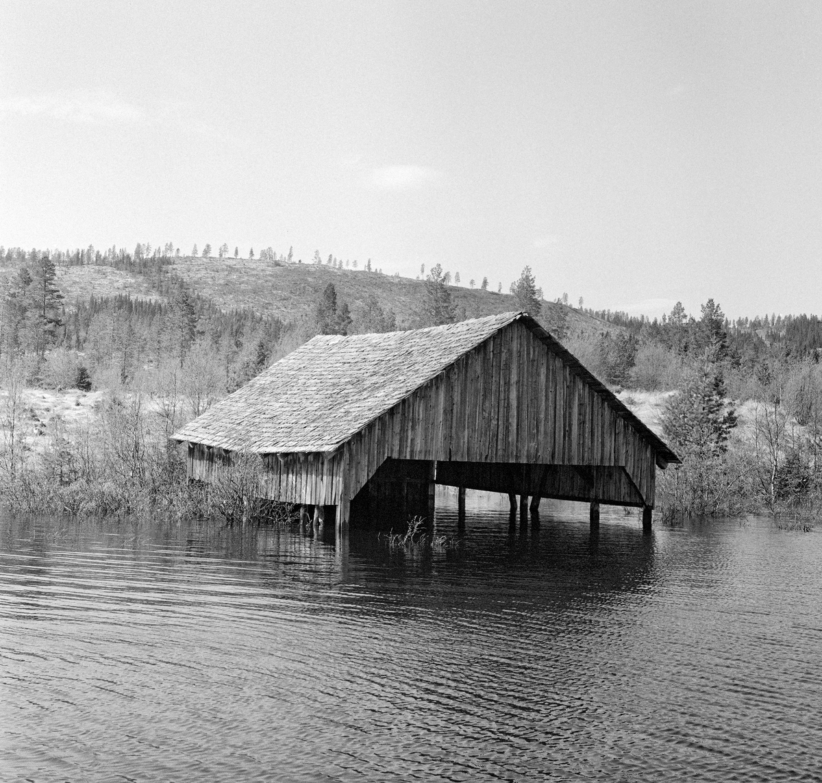 Spillflåtenaust ved Ulvsjøen i Enavassdraget i Vestre Trysil.  Det dreier seg om en bindingsverkskonstruksjon der de nedre delene av veggene var «åpne» (uten bordkledning), mens den øvre delen av langveggene og røstene var utstyrt med låvepanel.  Saltaket hadde tretekke, sannsynligvis høvlet flis.  Størstedelen av året lå det en spillflåte av tømmer inne i denne bygningen.  Flåten var utstyrt med et gangspill - ei sylindrisk, vertikalstilt «tynne» var påviklet grovt tau (kalt «trosse»).  I ytterenden av trossa var det festet et kraftig jernanker («krabba»), som ble rodd framover i sjøen og sluppet ned på botnen.  Deretter kunne fire fløtere starte «spillinga» - de vandret rundt på spillflåten og skjøv to stenger framfor seg, slika at tynna roterte, så trossa viklet seg opp og flåten med en bakenforhengende ringbom med tømmer ble trukket stadig nærmere krabba.  Denne prosessen ble gjentatt inntil flåten med tømmerbommen nådde utløpet av sjøen.  At det 8,1 meter lange og 5,7 meter brede naustet sto omgitt av vann da dette bildet ble tatt, skyldtes at Storendammen var satt, noe som hevet vannspeilet.  En av effektene av dette tiltaket var at også spillflåten, som vanligvis lå på kavler inne i naustet, ble hevet opp av vannspeilet og dermed kunne hentes ut av naustet uten tunge løft. 

Spillflåten og naustet fra Ulvsjøen ble flyttet til Norsk Skogbruksmuseums friluftssamling på Prestøya i Elverum i 1970.  Der ble naustet gjenoppført ved Glommas bredd, like ovenfor Klokkerfossen jfr. SJF-B.0025.