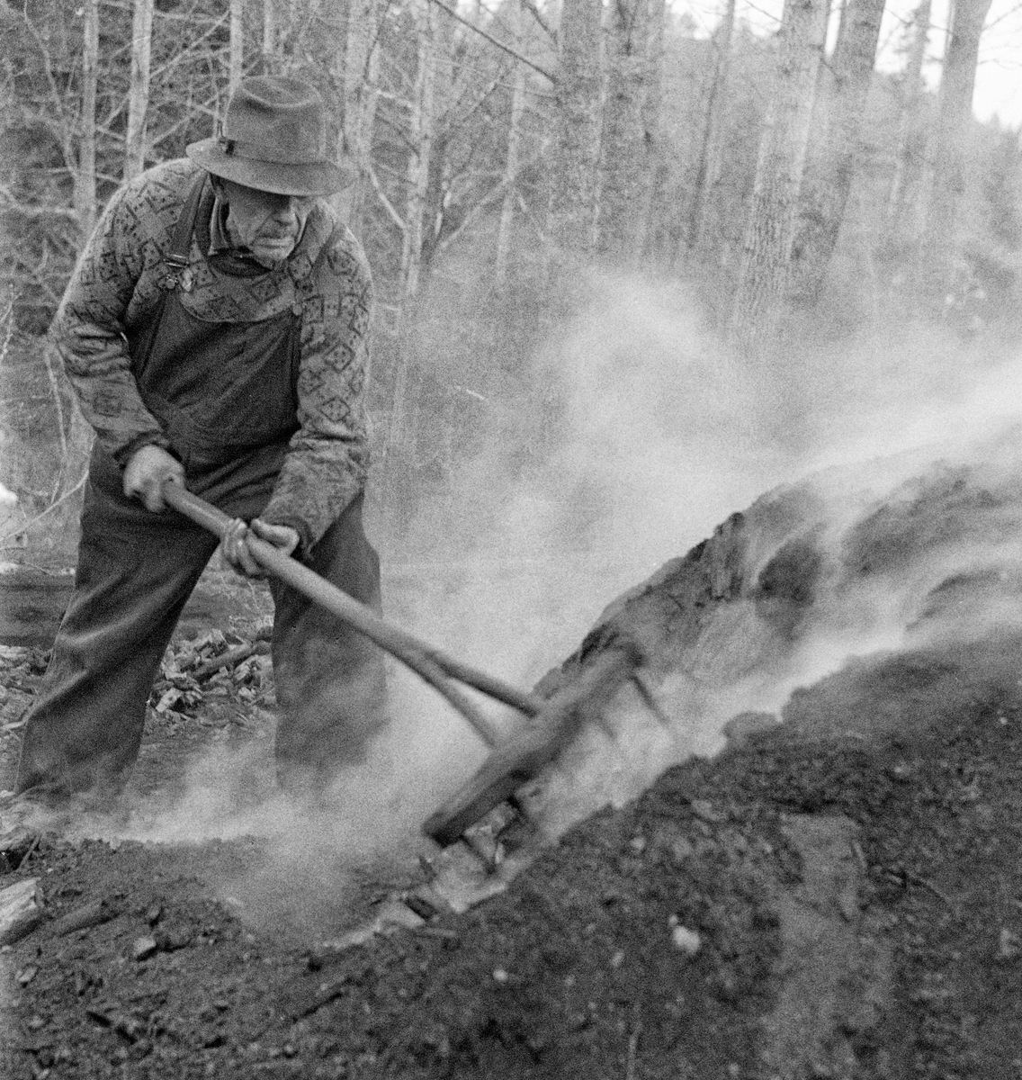 Trekolbrenning hos smeden Jørgen eller Jørn Romundstad (1890-1972) på Vegårshei i Aust-Agder.  Bildet skal være tatt våren 1968.  Romundstad rakte kol på milebotnen med ei langtinnet rive.  Romundstad var kledd i bomullsoverall og en genser med rombeformet mønster.  På hodet bar han en hatt.  Ei kort orientering om kolbrenning i slike miler finnes under fanen «Opplysninger».  Kullmile. Mile. Kolmile.