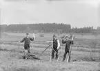 Mätlag vid Ultuna lantbruksinstitut, Uppsala 1889