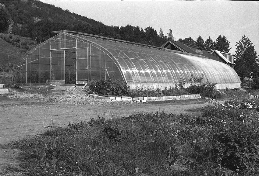 Dragland Planteskole