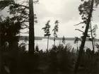 Kvinnor i tjänst 1939-1945.