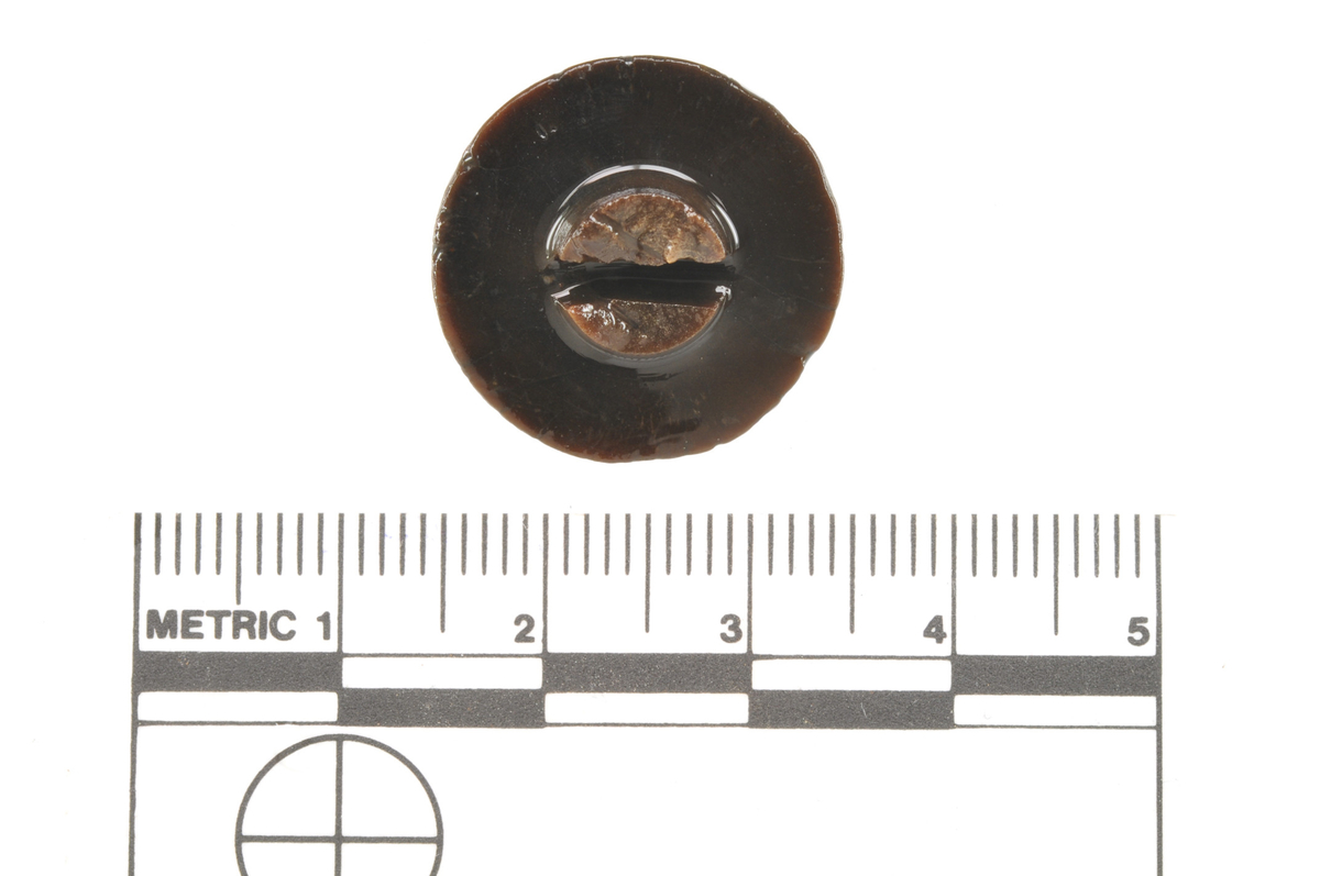 Knapp, bein, funnet i Vågen i Bergen.