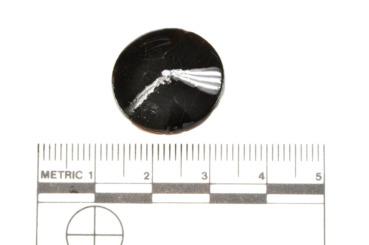 Knapp, bein, funnet i Vågen i Bergen.