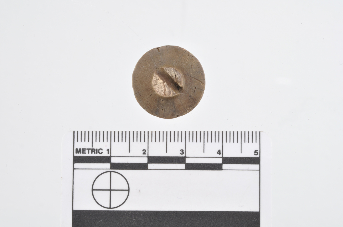 Knapp, bein, funnet i Vågen i Bergen.