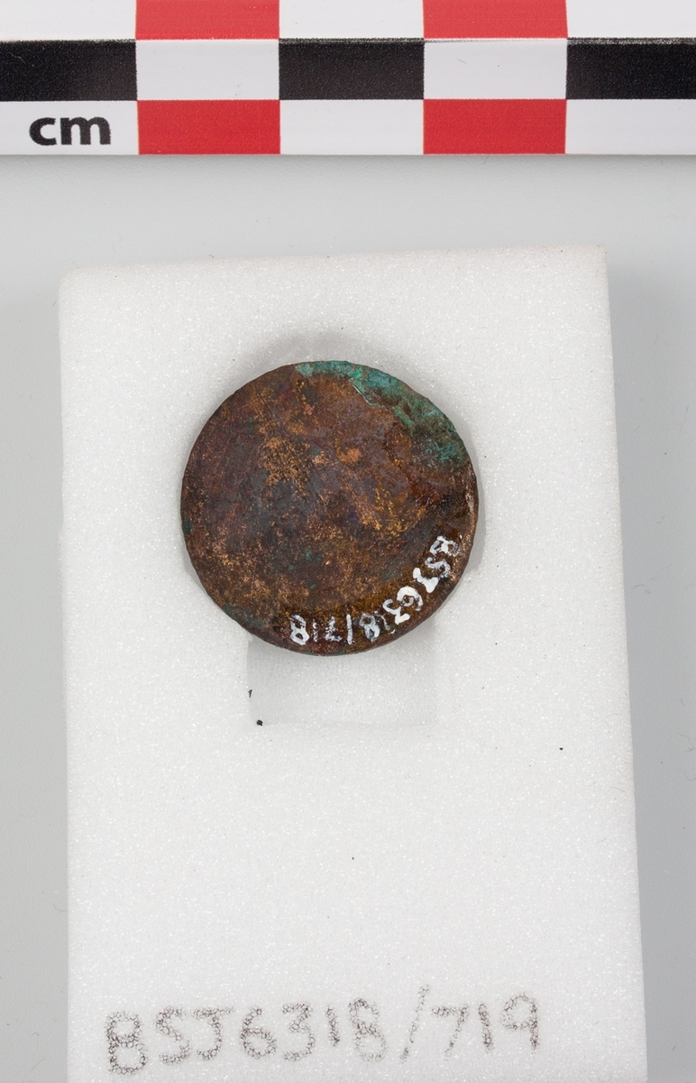 Mynt funnet i Vågen i Bergen.