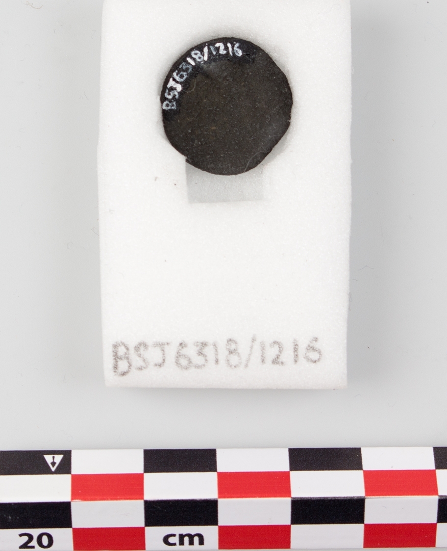 Mynt funnet i Vågen i Bergen.