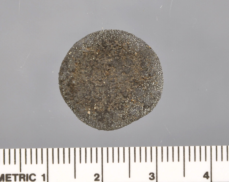 Mynt funnet i Vågen i Bergen.