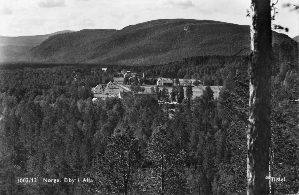 Fra Eiby i Alta i Finnmark.  Fotografiet er øyensynlig tatt fra et høytliggende utsiktspunkt, noe som framgår av en nærstående furustamme og noen furutopper i forgrunnen.  Over den nedenforliggende furumoen går det en veg, og langs vegen er det ryddet noen gardsbruk.  I bakgrunnen en skogkledd fjellrygg.  