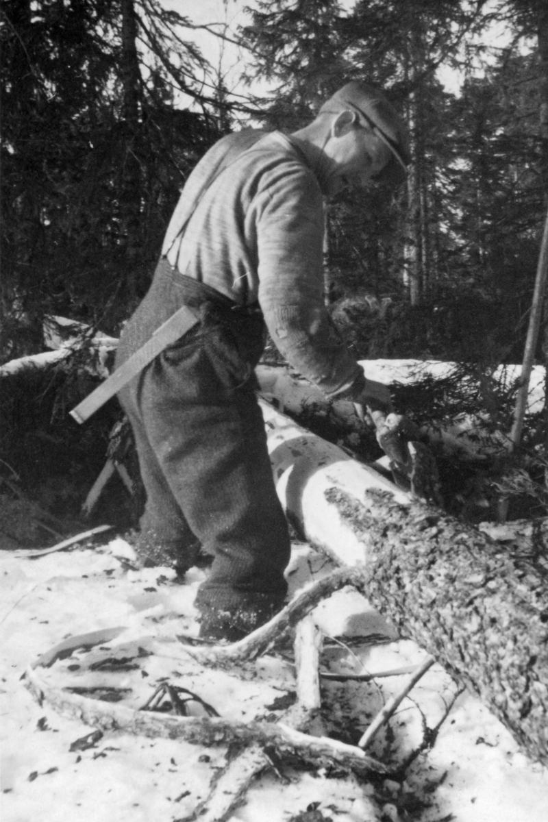 Barking av tømmer, slik det ble gjort under vinterdrift i 1942. Fotografiet viser en skogsarbeider som står ved en felt og kvistet furustamme. Han har vadmelsbukser med seler, som er ført over en ullgenser, som tydelig er bøtt og forsterket ved albuene. På hodet har mannen ei sixpencelue.  Han har en skyveklave av stål (kubikklave) i lomma, og i hendene holder han en barkespade, som føres langsetter stammen. Barken løsner i lange strimler, noe som tyder på at det ikke kan ha vært særlig kaldt da fotografiet ble tatt. Ved høyre bildekant skimtes en skant (målestav), som antakelig stod reist mot et nærstående tre. Denne og klaven skulle antakelig brukes når furustammen skulle apteres, deles i høvelige lengder for videreforedling til trelast. 

Dkogsarbeideren på fotografiet er muligens Karl Foss.  Han og kona Tordis drev kafé og overnattingssted i peisestuebygningen på Malungen i etterkrigsåra, muligens fram til 1960-åra.  Karl arbeidet en del i skogen ved siden av.