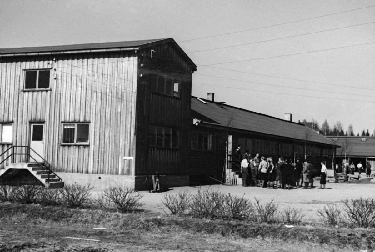 Driftsbygningene ved Sønsterud planteskole i Åsnes i Hedmark, slik de så ut da skogbruksstudentene fra Norges landbrukshøgskole var på ekskursjon her i 1946.  Vi ser en toetasjes bygning med utvendig over- og underliggerpanel, to- og trefags funkisvinduer og et forholdsvis flatt saltak.  Denne bygningen rommet trolig kontorer og ulike personalrom.  Vinkelrett på denne, og bakenfor sett fra fotografens synsvinkel, ser vi en noe lavere fløy som rommet lager- og sorteringsfunksjoner.  Gruppa som er samlet på plassen foran denne fløyen er de nevnte skogbruksstudentene fra Ås, som var der for å få et innblikk i den moderne skogplanteproduksjonens praksis. 