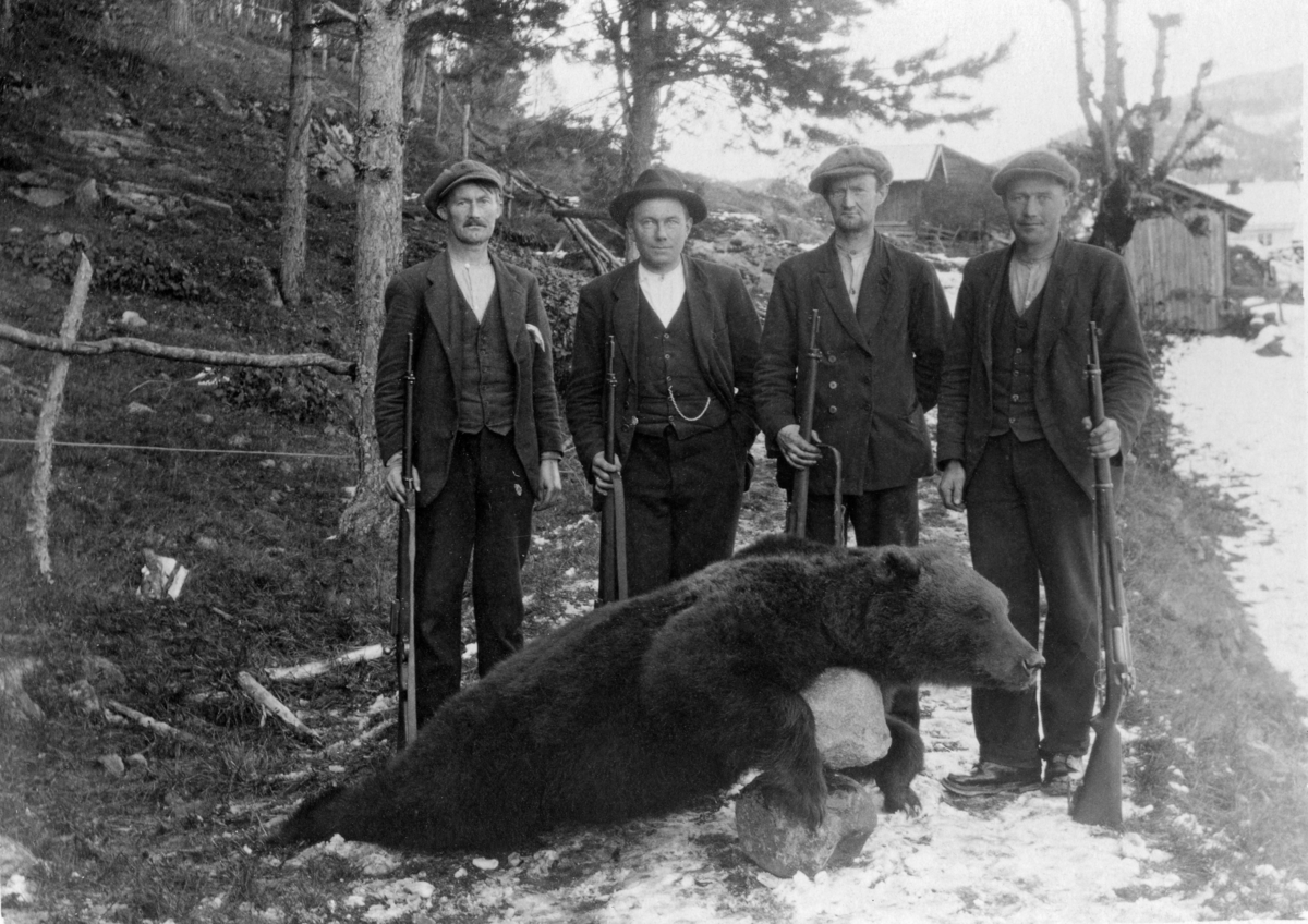 Fire bjørnejegere fra Tørdal i øvre del av Drangedal kommune poserer med en bjørn en av dem, Adolf Austad, skjøt i Austadskogen 15. oktober 1926.  Bjørnen er lagt på tvers av en delvis snødekt kjerreveg, med et par store steiner under den fremre delen av brystet, slik at hodet og framlabbene er løftet godt opp fra bakken.  Baklabbene er strekt bakover, slik at vi får et godt inntrykk av hvor langt det døde dyret var (cirka 230 centimeter).  De fire karene som har stilt seg opp for fotografering bak bjørnen var Stian Snøaas, Olav T. Austad. Jon T. Snøås og Adolf Austad.  De var alle dresskledde, de to førstnevnte og sistnevnte med står med ukneppete jakker, noe som tydeliggjorde at de hadde vest under.  På hodene har Snøaas-karene og Adolf Austad sixpenceluer, mens Olav T. Austad har hatt.  Alle karene poserer med jaktgeværer, som holdes med kolbene på bakken og løpet oppoverrettet.  Bakkeskråningen til venstre for karene later til å være et beitelandskap med spredte ungfurutrær.  Til høyre for dem skimter vi noe av en delvis snødekt åker.  I vegkanten bakenfor ser vi et styvet lauvtre, og bakenfor dette igjen skimtes noe av et gardstun, muligens hjemstedet til en av jegerne.