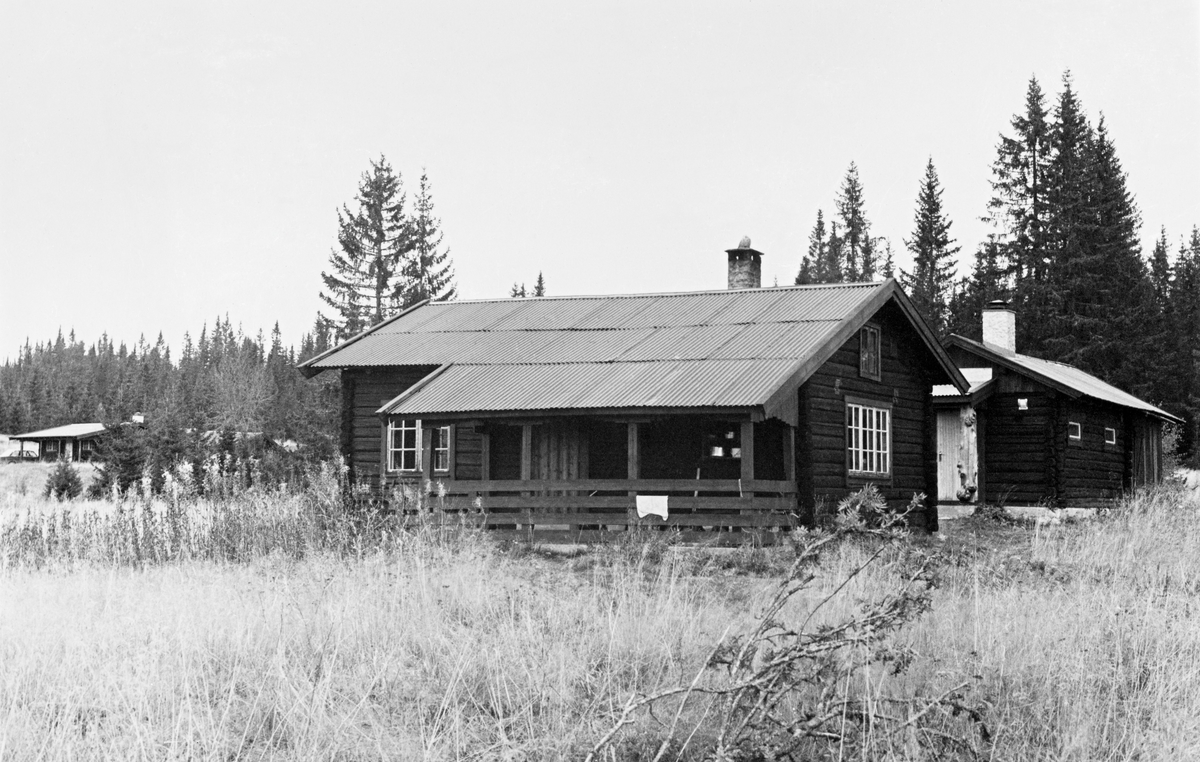 Jakthytter ved Mårlia i Slemdalen i Nordre Osen (Åmot i Hedmark), fotografert høsten 1978.  Hytta i forgrunnen var en laftekonstruksjon med rektangulært grunnplan, og med et stolpebårent utspring av taket over inngangsdøra på langsida mot sør.  Saltaket var tekket med bølgeblikk.  Til høyre like bakenfor skimtes en annen rektangulær laftekonstruksjon, riktignok med bordkledning i røstet, og inngangsdør i gavlen.  Dette kan se ut til å ha vært et uthus, som er ombygd til overnattingsbruk.  I bakgrunnen til venstre skimtes også ei tredje hytte. I Mårlia ble det ryddet dyrkingsjord fra 1830-åra og framover, etter hvert ble det bygd to boenheter her, Nordre og Søre Østad.  Om Johan Hanssen på det søndre bruket heter det karakteristisk nok i 1910 at han levde av jordbruk, skogsarbeid og av å være «elgjæger».  Plassene var leilendingsbruk for folk som arbeidet i omkringliggende skoger.  Brukene ble fraflyttet før 2. verdenskrig.  På Søre Østad er alle eldre hus borte, på det nordre bruket sto det igjen et par bygninger.  Seinere har grunneierne – Borregaard og Kiær – bygd hytter og opparbeidet fiskedammer på den gamle innmarka.  Anlegget ble brukt som innkvarteringssted for eierselskapets funksjonærer og gjester i jakttida. 