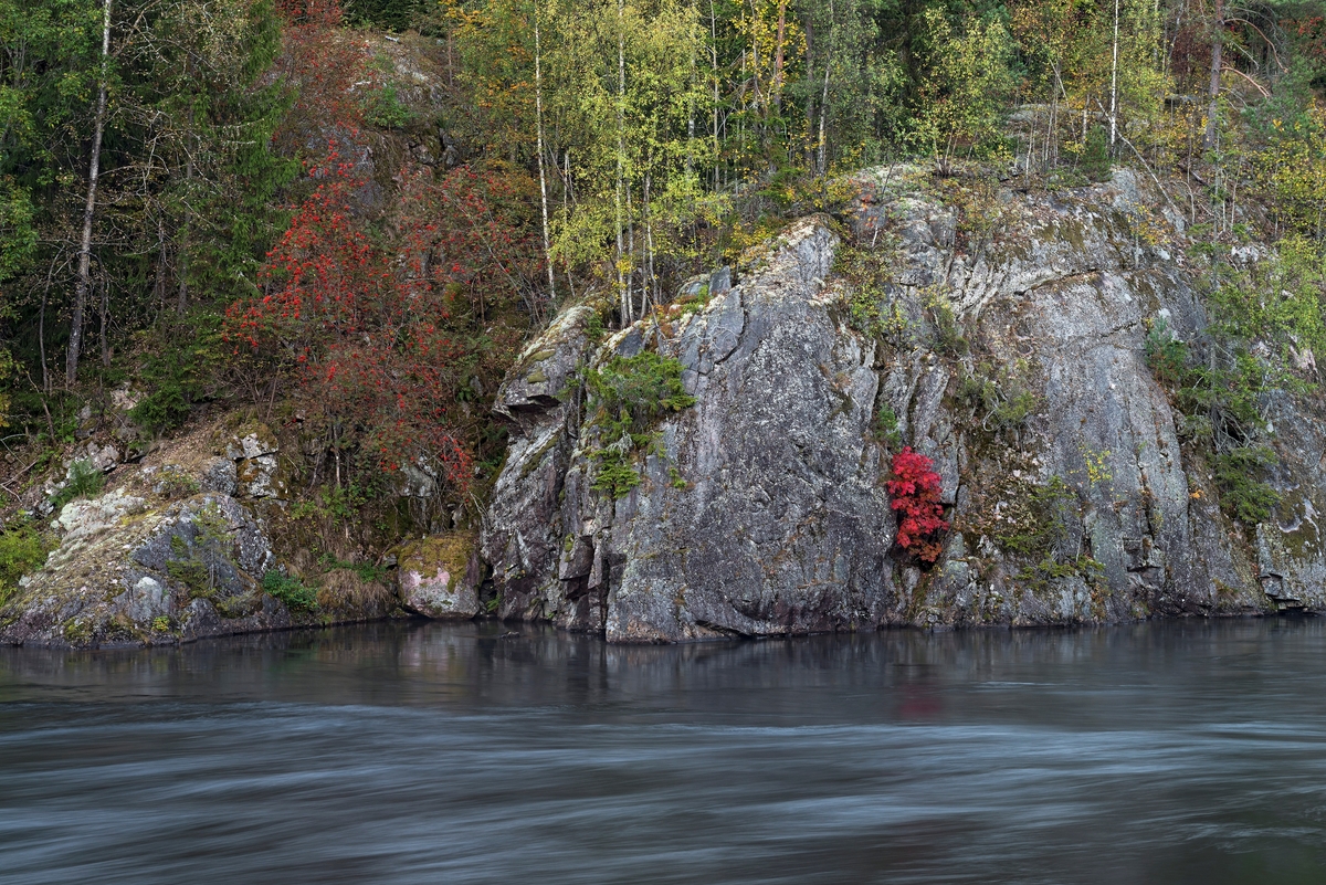 Bergskrenter med høstfargete lauvtrær langs Eidselva nedenfor Vrangfoss i Nome i Telemark.  Fotografiet er tatt fra muren som skiller underkanalen nedenfor Vrangfoss sluser fra elveløpet fra den regulerte fossen ovenfor.  Det er lett å forstå at denne delen av vassdraget var vanskelig tilgjengelig for tømmerfløterne før vassdraget ble kanalisert.  Etter kanaliseringa gikk tømmeret i «klubber» eller bunter i den skjermete, kanaliserte delen av vassdraget. 

Mer om Bandak-Norsjø-kanalen og slusene under fanen «Andre opplysninger»