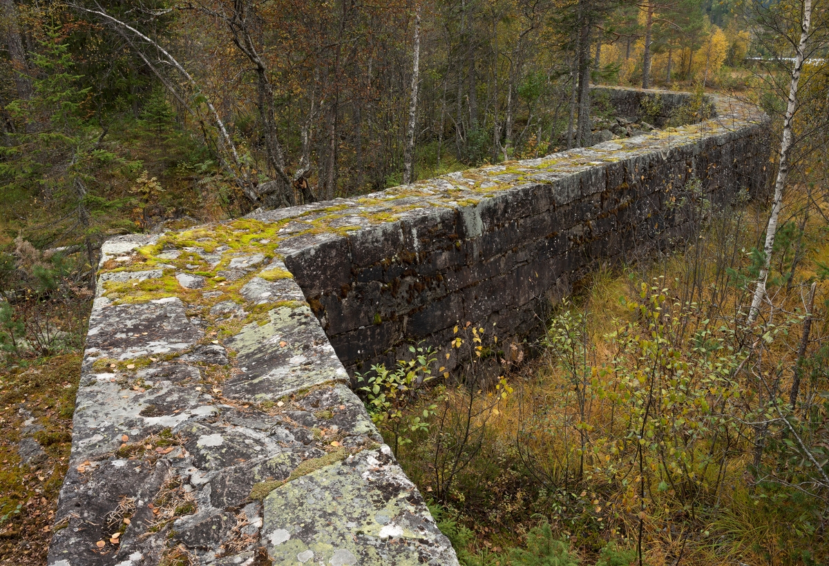 Gråsteinsmurt, men sementfuget damarm ved utløpet av Nedre Bjørvatn eller Nedre Bjorvatn [navneform brukt i dokumenter fram til midten av 1900-tallet] i Tinn i Øst-Telemark.  Nedre Bjørvassdam ligger høyt oppe i den fløtbare delen av Rauavassdraget.  Damarmen er meget presist bygd, antakelig av tuktet stein.  På det stedet der dette fotografiet er tatt later den til å være en drøy meter bred og tilsvarende høy.  Murkrona er så plan at den er behagelig å gå på.  Her kunne det sikkert også kjøres trillebår, om det var behov for det.  Muren går i rett linje noen meter, fortsetter deretter i en litt annen vinkel noen meter, for igjen å skifte retning på nytt.  Der hvor dette fotografiet er tatt går den gjennom et myrlandskap hvor det har vokst fram en del krattskog etter at bruken av dammen opphørte.  Da fløtinga pågikk ble slik vegetasjon holdt nede, slik at den ikke skulle være i vegen for arbeidet.  Myrer var for øvrig populære oppdemmingsobjekter der hvor det skulle magasineres mye fløtingsvann, for det flate myrterrenget gav rom for store vannvolumer uten at dammene behøvde å bli så djupe.  Til gjengjeld måtte det bygges lange damarmer i slikt flatt terreng, noe dette fotografiet illustrerer. 

Fløtinga i Rauavassdraget begynte gjerne i midten av mai og pågikk tre-fire uker.  Deretter ble tømmeret fra vassdragets nedslagsfelt buksert mot Tinnoset med slepebåten "Maar".  Utover i 1960-åra krympet fløtinga i sidevassdragene noe, for det ble stadig vanskeligere å rekruttere folk til sesongarbeid langs vassdragene samtidig som mulighetene for lastebiltransport av tømmer ble stadig bedre.  I Rauavassdraget oppsto det i tillegg spesielle problemer knyttet til slitasje på betongforblendinga i Rauatunnelen, nederst i vassdraget.  1968 var det siste året det var fløting her. 