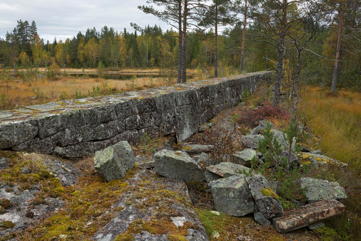 Gråsteinsmurt, men sementfuget damarm ved utløpet av Nedre Bjørvatn eller Nedre Bjorvatn [navneform brukt i dokumenter fram til midten av 1900-tallet] i Tinn i Øst-Telemark.  Nedre Bjørvassdam ligger høyt oppe i den fløtbare delen av Rauavassdraget.  Damarmen er meget presist bygd, antakelig av tuktet stein.  På det stedet der dette fotografiet er tatt later den til å være en drøy meter bred og tilsvarende høy.  Damarmen følger høydedraget som omkranser myra, og dette fotografiet viser hvor fint murerne har tilpasset damarmen til ujevnheter på den underliggende bergflata. Murkrona er så plan at den er behagelig å gå på.  Her kunne det sikkert også kjøres trillebår, om det var behov for det.  Noen steinblokker som later til å ha blitt til overs etter murerarbeidet ligger i en forsenkning utenfor damarmen, til høyre i bildeflata.  Der hvor dette bildet er tatt går damarmen gjennom et myrlandskap hvor det har vokst fram en del krattskog etter at bruken av dammen opphørte.  Da fløtinga pågikk ble slik vegetasjon holdt nede, slik at den ikke skulle være i vegen for arbeidet.  Myrer var for øvrig populære oppdemmingsobjekter der hvor det skulle magasineres mye fløtingsvann, for det flate myrterrenget gav rom for store vannvolumer uten at dammene behøvde å bli så djupe.  Til gjengjeld måtte det bygges lange damarmer i slikt flatt terreng, noe dette fotografiet illustrerer. 

Fløtinga i Rauavassdraget begynte gjerne i midten av mai og pågikk tre-fire uker.  Deretter ble tømmeret fra vassdragets nedslagsfelt buksert mot Tinnoset med slepebåten "Maar".  Utover i 1960-åra krympet fløtinga i sidevassdragene noe, for det ble stadig vanskeligere å rekruttere folk til sesongarbeid langs vassdragene samtidig som mulighetene for lastebiltransport av tømmer ble stadig bedre.  I Rauavassdraget oppsto det i tillegg spesielle problemer knyttet til slitasje på betongforblendinga i Rauatunnelen, nederst i vassdraget.  1968 var det siste året det var fløting her. 