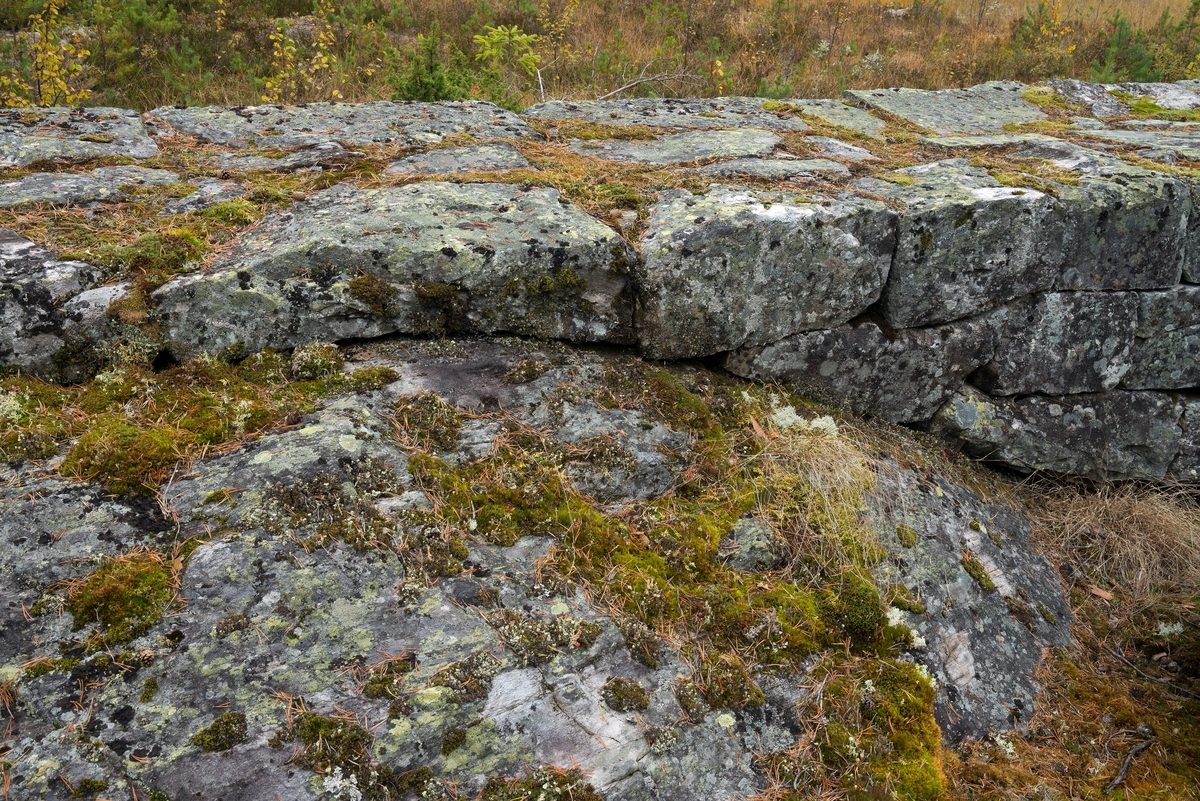 Detalj fra gråsteinsmurt, men sementfuget damarm ved utløpet av Nedre Bjørvatn eller Nedre Bjorvatn [navneform brukt i dokumenter fram til midten av 1900-tallet] i Tinn i Øst-Telemark.  Nedre Bjørvassdam ligger høyt oppe i den fløtbare delen av Rauavassdraget.  Damarmen er meget presist bygd, antakelig av tuktet stein.  Damarmen følger høydedraget som omkranser myra, og dette fotografiet viser hvor fint murerne har tilpasset damarmen til ujevnheter på den underliggende bergflata. Murkrona er så plan at den er behagelig å gå på.  Her kunne det sikkert også kjøres trillebår, om det var behov for det.  

Fløtinga i Rauavassdraget begynte gjerne i midten av mai og pågikk tre-fire uker.  Deretter ble tømmeret fra vassdragets nedslagsfelt buksert mot Tinnoset med slepebåten "Maar".  Utover i 1960-åra krympet fløtinga i sidevassdragene noe, for det ble stadig vanskeligere å rekruttere folk til sesongarbeid langs vassdragene samtidig som mulighetene for lastebiltransport av tømmer ble stadig bedre.  I Rauavassdraget oppsto det i tillegg spesielle problemer knyttet til slitasje på betongforblendinga i Rauatunnelen, nederst i vassdraget.  1968 var det siste året det var fløting her. 