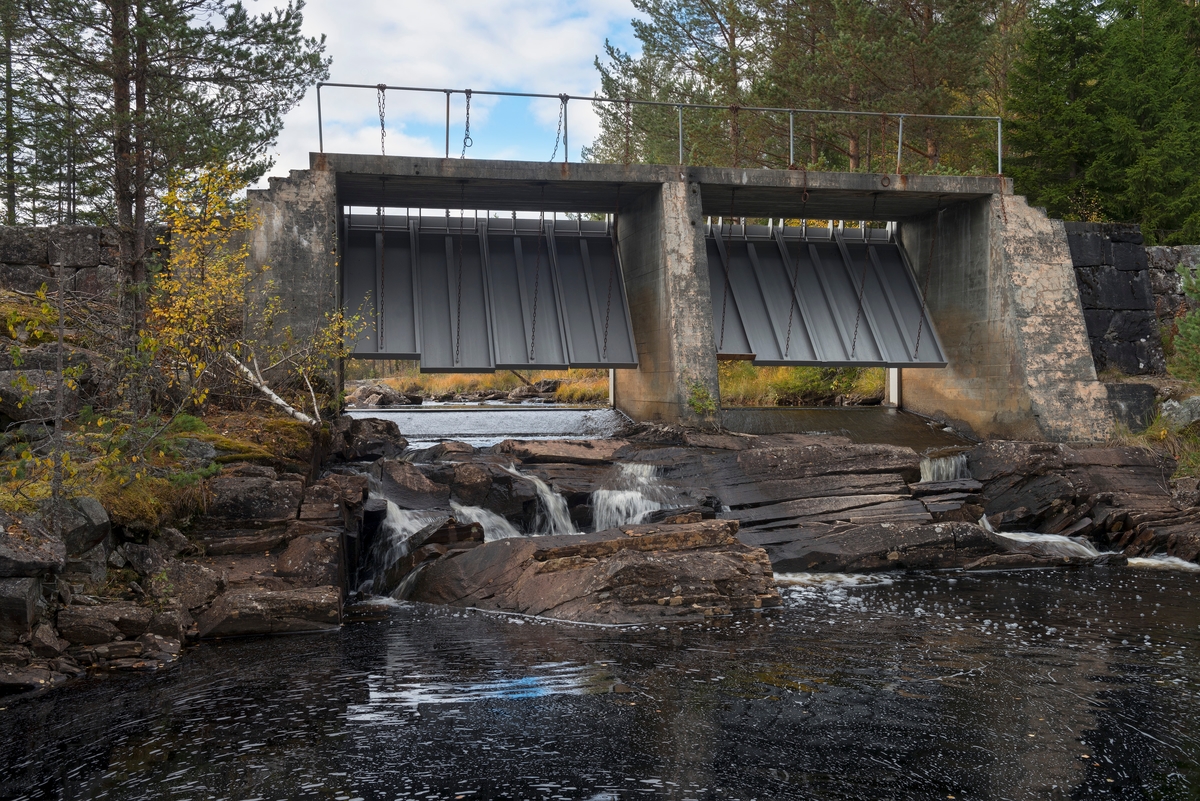 Betongdam med to løp og stålluker ved utløpet av Nedre Bjørvatn eller Nedre Bjorvatn [navneform brukt i dokumenter fram til midten av 1900-tallet] i Tinn i Øst-Telemark.  Fotografiet er tatt i motstrøms retning.  Fotografiet viser at dammen er lagt på en bergrygg ved utløpet av ei myr.  I hvert av de to damløpene er det fire stålluker, som er hengslet oppunder dambrua.  Fra de nedre kantene av disse lukene er det ført kjettinger gjennom hull i den støpte dambrua og opp mot det galvaniserte jernrekkverket langs bruas ytterkant.  Lukene er låst i ønsket posisjon ved hjelp av jernteiner som er stukket gjennom lekker i kjettingene der de passerer brulegemets overkant, og sikres ved at kjettingene knyttes fast i det nevnte rekkverket.  Bakenfor dammen skimter vi et vannspeil i et myrlandskap, omgitt av bjørke- og furuskog.  Dammen på fotografiet ble bygd i 1962.  Skiensvassdragets Fellesfløtningsforening hadde satt av 65 000 kroner til prosjektet, men det viste seg at fjellet betongfundamentene skulle stå på var dårligere enn forutsatt, slik at det måtte sprenges noe mer enn en hadde tenkt seg før støpearbeidene kunne settes i gang.  Dermed ble anleggskostnadene på 78 000 kroner. 

Fløtinga i Rauavassdraget begynte gjerne i midten av mai og pågikk tre-fire uker.  Deretter ble tømmeret fra vassdragets nedslagsfelt buksert mot Tinnoset med slepebåten "Maar".  Utover i 1960-åra krympet fløtinga i sidevassdragene noe, for det ble stadig vanskeligere å rekruttere folk til sesongarbeid langs vassdragene samtidig som mulighetene for lastebiltransport av tømmer ble stadig bedre.  I Rauavassdraget oppsto det i tillegg spesielle problemer knyttet til slitasje på betongforblendinga i Rauatunnelen, nederst i vassdraget.  1968 var det siste året det var fløting her. 