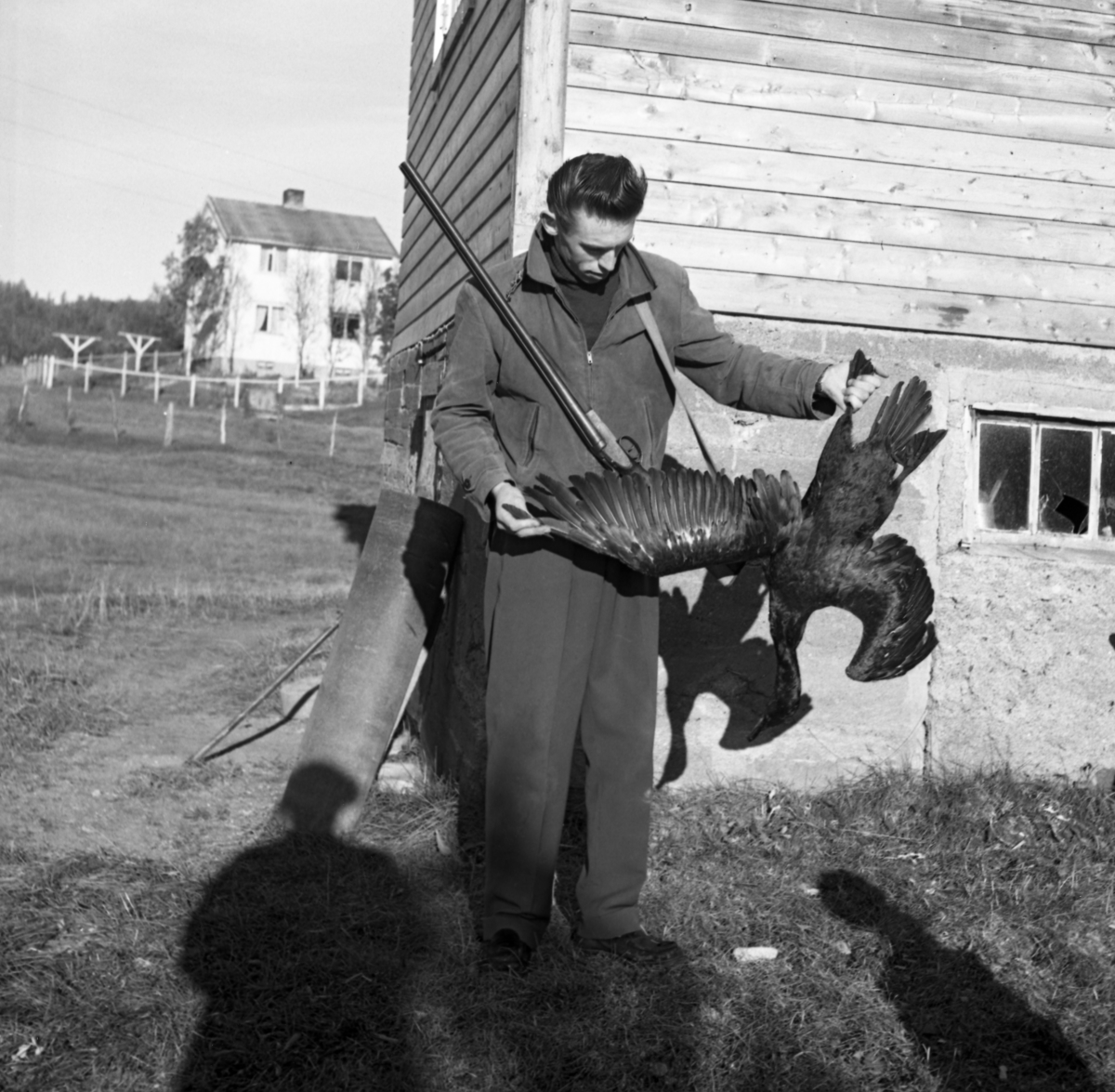 Fotografen og jegeren Kjell Søgård fra Elverum, avbildet med en skarv (Phalacrocorax carbo), som han skjøt i Lyngen i Troms i 1957.  Søgård poserer ved et hushjørne, der han holder den mørke sjøfuglen i de gråsvarte svømmeføttene, slik at hodet henger ned.  Han holder den ene vingen utspent, for å vise noe av fjærdrakta.  Jaktvåpenet hadde han hengende på brystet.  Søgård var en ung mann på drøyt 21 år da dette fotografiet ble tatt.  Huset han sto kvilte på en støpt mur, tydeligvis av nokså porøs betongkvalitet, med en bindingsverkskonstruksjon med horisontal bordkledning oppå.  I bakgrunnen ses et typisk toetasjes etterkrigshus med funkisvinduer og bølgeblikktekket saltak, samt med tørkestativ for klesvask i den lille, inngjerdete hagen. 