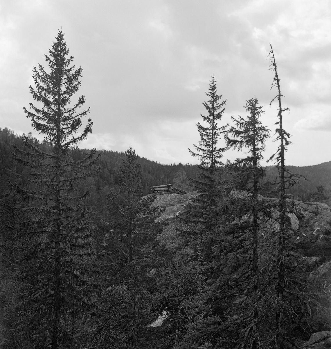 Skytestilling, såkalt «bjørnestille», på Svåleknatten i Drangedal i Telemark.  Fotografiet er tatt mot en bergknaus på toppen av dette høydedraget, der vi skimter en mannsperson som står inne i en liten skjerm av tømmerstokker som er hogd sammen i hjørnene.  Dette er en skytestilling som skal ha vært brukt under åtejakt på bjørn.  Jegeren plasserte et åtsel – et dyrekadaver – på et sted han hadde lengre nede i den bratte lia mot sørøst.  Så la han seg til å vente med munnladningsgeværet sitt bak den lille tømmerskjermen vi ser på fotografiet.  Når det så kom en bjørn som gav seg til å ete, fikk han relativt god tid til å legge an og skyte.  Traff han likevel dårlig, og skadeskjøt bjørnen, innebar den bratte skrenten opp til skytestillingen at det ville ta tid før bjørnen eventuelt rakk å komme seg opp for å angripe jegeren.  I mellomtida fikk han antakelig tid til å lade våpenet sitt på nytt.  Da dette fotografiet ble tatt i 1962 hadde det vokst fram en del store grantrær i skråningen nedenfor skytestillingen.  Slik skog var antakelig ryddet unna for å gi jegeren god sikt den gangen bjørnestilla var i bruk. 