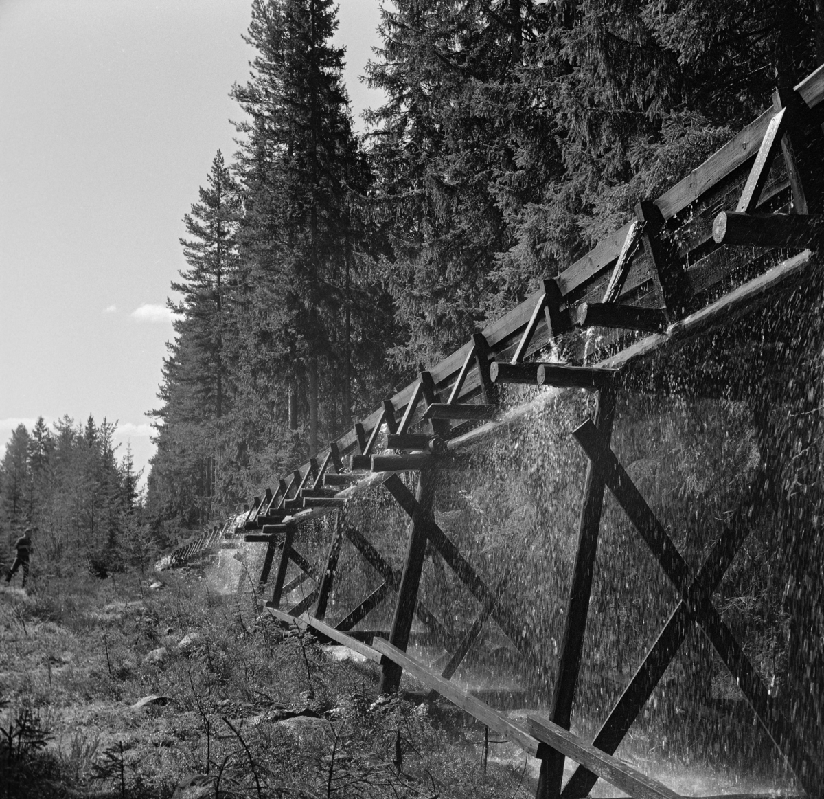 Tømmerrenna i Fallåa i Romedal almenning, fotografert under drift i 1969.  Bildet er tatt på et sted der renna går i forholdsvis flatt lende, tett inntil stor og tett granskog.  Fotografiet viser hvordan renna var konstruert.  Den bæres av bukker av rundtømmer, avstivet med krysslagte planker.  Oppå rekka av slike bukker, på et underlag av rundtømmer, er det lagt ei såkalt «plankerenne» eller «våtrenne».  Renneløpet av planker, antakelig av cirka to-tre tommers tjukkelse, muligens med et slitelag av en eller halvannen toms bord i botnen innvendig.  Slike renner fikk gjerne et trapesformet tverrsnitt med botnbredde på 40-60 og en åpning på 75-100 centimeter mellom overkantene, noe som later til å være tilfellet her også, sjøl om eksakte mål ikke kan fastslås ut fra fotografiet. Behovet for ei tømmerrenne i Fallåa skyldtes at dette lille fløtingsvassdraget passerte et bratt fall cirka en kilometer før det nådde utløpet i Malungstjernet.  Her hadde tømmeret lett for å splintres eller å sette seg fast.  Derfor bygde trelastfirmaet Westye Egeberg & Co. ei tømmerrenne på dette stedet i 1890-åra.  Denne første renna var ment som ei våtrenne, som den på fotografiet, men den fungerte ikke helt etter intensjonene.  Ettersom inntakspunktet for renna var plassert litt nede i den bratte skrenten, skal tømmeret ha blitt kastet inn i renna i så stor hastighet at tømmerstokkene så å si seilte fra vannet, som kom støtvis etter.  Dette innebar mye slitasje på rennelegemet, og stadige reparasjonsbehov.  Derfor bestemte man i 1914 at renna skulle forlenges og forhøyes, slik at tømmerinntaket kunne flyttes til en damkonstruksjon – seinere kalt Rennedammen – noe høyere oppe, ovenfor det bratte partiet.  Dermed oppnådde fløterne jevnere vannføring og noe langsommere framdrift for fløtingsvirket.  Der renna krysset den daværende kjerrevegen mellom Vallset og Odalen ble det bygd bru over renna.  Renna fra 1914 var i bruk fram til 1934.  Romedal allmenning, som i mellomtida hadde overtatt Westye Egeberg & Cos eierskap til skogen i dette området, bygde da ei helt ny renne der den forrige hadde stått.  Samtidig ble Renndammen forhøyet og pusset med sement.  Renna fra 1934 var i bruk i 35 år, altså fram til 1969, da dette fotografiet ble tatt. 