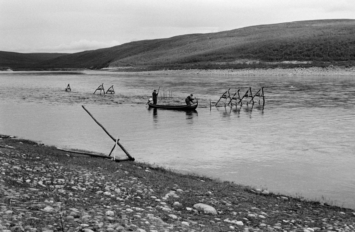 Askak og Per Varsi setter ut stengsler som skulle brukes i posegarnfiske – buoððu – etter laks i Tana (Deatnu) i Finnmark.  Akkurat denne stengselsplassen – joddosadji – ligger like sør for bygdelaget Sirma.  Karene arbeidet fra en av de lange, smale elvebåtene som ble brukt i dette vassdraget.  Aslak sto i akterenden av båten og holdt den i posisjon ved hjelp av en båtshake, mens Per satt i baugen med ei garnramme som skulle plasseres mellom staker som var drevet ned i elvebotnen og trefotete bukker med steinlodd, som ble brukt der det var umulig å drive ned stakene.  En slik bukk ligger fortsatt ved strandkanten. Denne fiskemåten – buoððu – ble praktisert i sommersesongen, på lavere vannstand og med roligere strømforhold enn under vårflommen i elva.  Suksessen under slik laksefangst var avhengig av en god stengselsplass – joddosadji – og av at fiskerne visste hvordan de skulle plassere stengsler og posegarn i forhold til vekslinger i vann og strømforhold.  Det var ikke akseptert å gå over midtålen i elva.  Fotografiet er tatt på St. Hansaften i 1975. 