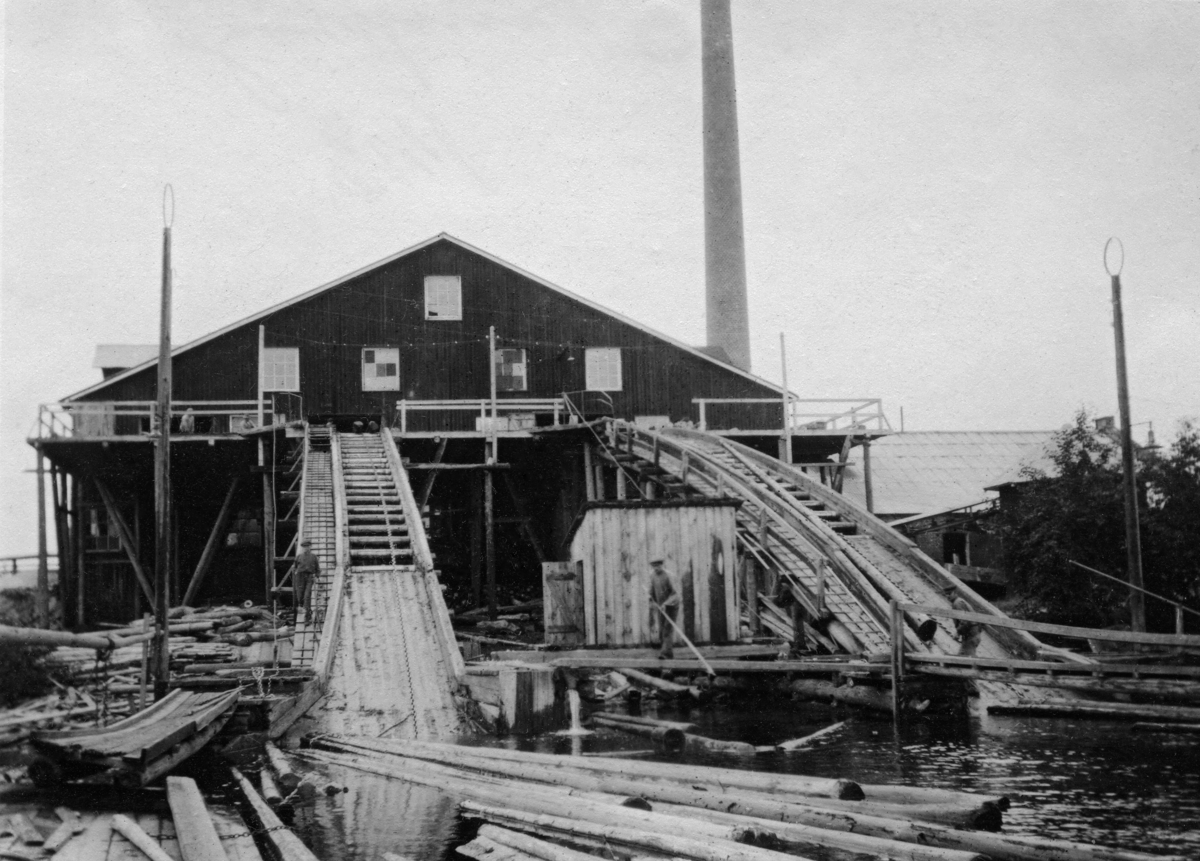 Laagens dampsag, fotografert i 1919.  Dette er et eksteriørbilde, tatt fra elva.  Vi ser gavlen på et stort saghus, oppført i bordkledd bindingsverk.  I røstepartiet er det vinduer, som skulle gi lysinnsig til produksjonslokalene.  Fotografiet viser ellers to kjerrater - i dette tilfellet noe buete skråplan med endeløse kjettinger som dro tømmerstokker opp mot den øvre delen av saghuset, hvor de antakelig ble skåret til konstruksjonsvirke.  Der hvor kjerratene møter saghusveggen er det en utvendig, åpen arbeidsplattform.  I forgrunnen ser vi flytende tømmer i opptaksområdet til den ene kjerraten (til venstre), som ikke var i bruk da dette fotografiet ble tatt.  Den andre var derimot i drift, og der skimter vi også en mann som «matet» kjerraten.  Vi ser også en av kollegene hans foran et lite hus med pulttak, muligens et motorhus, ved denne kjerraten.  I bakgrunnen ei høy, rund teglsteinspipe, antakelig for dampmaskineriet som drev dette sagbruket. 

Laagens dampsag, som lå i daværende Hedrum kommune, på vestsida av Lågen, ikke langt fra utløpet, mellom Gloppe bru og jernbanebrua. Dette var ei av mange dampsager som ble etablert etter at «Lov om Saugbrugsvæsenet» i 1854 fastslo at «Fra 1ste Januar 1860 skal al Sagskur være fri saaledes, at det er Enhver tilladt at tilvirke al Slags skaaren Last til Udskibning paa hvilken Maade og med hvilke Indretninger han bedst veed, vil og kan.» Loven åpnet altså for sagbruksdrift på steder der det ikke var fossefall og gav fri etableringsrett til alle som var villige til å ta den risikoen det innebar å investere i den da nye dampteknologien. En av dem som viste slik risikovilje var Frederik Wilhelm Treschow (1814-1901). I 1835 hadde han kjøpt mye av den eiendomsporteføljen som hadde tilhørt det gamle Larvik grevskap. Etableringa av Laagens dampsag skulle gjøre det enklere å produsere trelast av tømmer Treschow fikk avvirket i skogene han eide i Numedalslågens nedslagsfelt. Dette tømmeret ble fløtet på vassdraget. Ved å bygge ei dampsag på det nevnte stedet kunne Treschow ta råstoffet direkte inn for industriell bearbeiding fra lenseanlegget nederst i Lågen, uten å måtte transportere det gjennom Larviks havnebasseng til sagbruket ved Farriselva. Laagens dampsag ble satt i drift sommeren 1865. Bruket hadde tre større og ei mindre rammesag, to dobbelte og ei enkel sirkelsag samt to kappsager. Maskinene ble drevet av to dampmaskiner som kunne yte til sammen 80 hestekrefter. Laagens dampsag ble herjet av brann i mars 1880, men anlegget ble gjenoppbygd. Dette fotografiet viser den produksjonsanlegget som ble gjenoppbygd etter brannen. I 1890-åra skal Laagens dampsag ha hatt et årlig tømmerforbruk på cirka 25 000 tylfter (300 000 stokker). Virksomheten gav arbeid og inntekt til cirka 70 mann. Lønnsomheten ved Treschow-familiens sagbruk ble, i likhet med annen skogbasert industri i Norge, hardt rammet av det kraftige prisfallet i markedene tidlig i 1920-åra. Ledelsen i Treschow-konsernet valgte da å avvikle Laagens dampsag og samle skurlastproduksjonen ved Farriselva. Etter den tid ble bygningene etter Laagens dampsag stående uten skurlastproduksjon i flere tiår. I nyere tid har byggevareselskapet Carlsen Fritzøe Handel tilhold på den gamle sagbrukstomta, med adresse Lågaveien 6, Larvik.