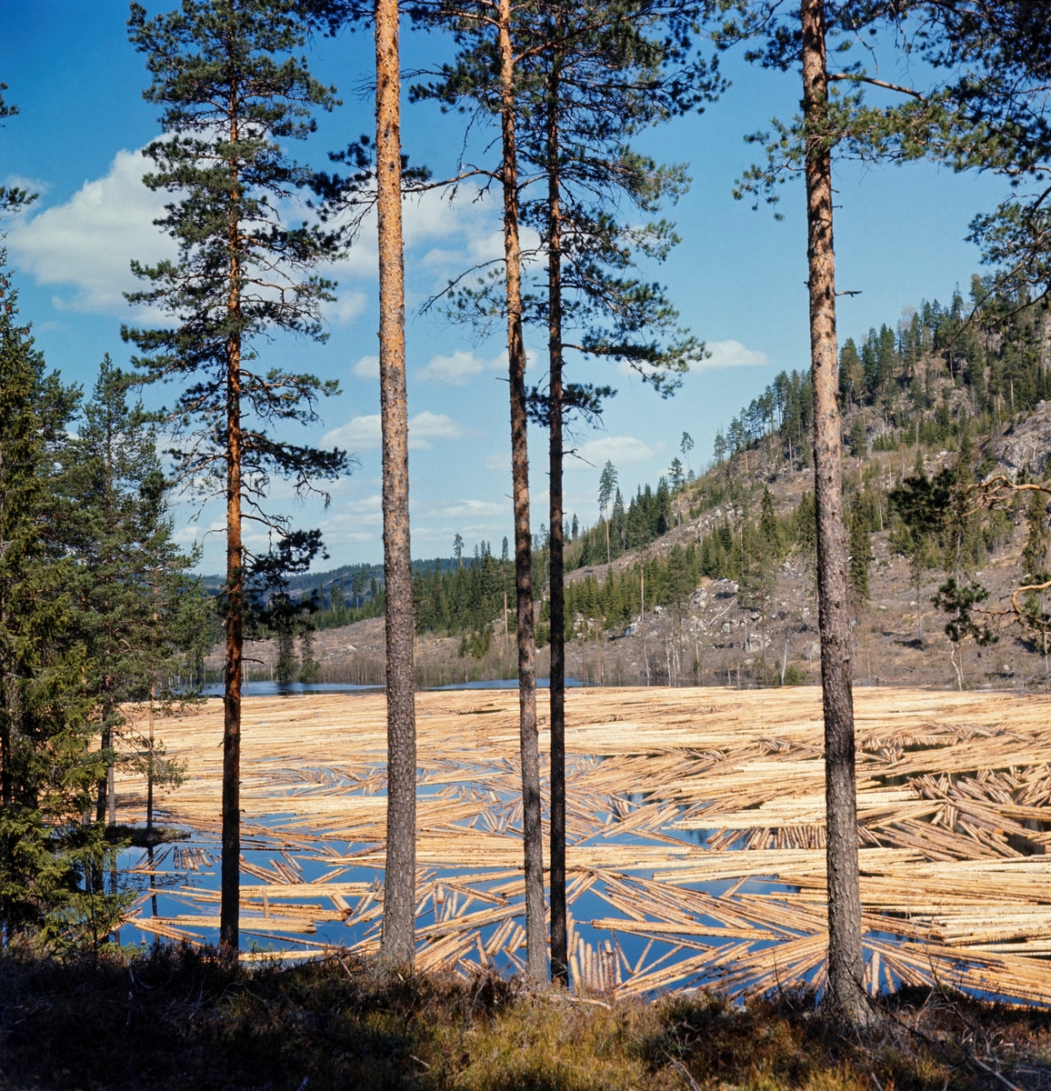 Fløtingstømmer på Fjæstadsætertjernet (246 moh) i Malungsvassdraget i Romedal almenning våren 1969.  Fotografiet er tatt fra en strandbrink der vi ser tjernet med en mengde barket tømmer på vannflata.  Tjernet var regulert ved hjelp av den såkalte Fjæstaddammen, før tømmeret ble sluppet ned mot Rasasjøene og vassdraget videre mot Nord-Odal.  På motsatt side av vassdraget ser vi en bakkekam med glissen furuskog etter hogst. 