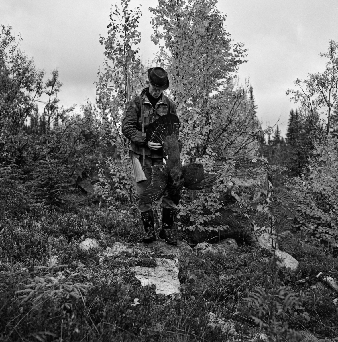 Storfugljegeren Kjell Søgård, fotografert på en steinblokk foran et bjørkekratt i nærheten av Trysilfjellet, der han viser fram en tiur han nettopp hadde skutt.  Jegeren holder fuglen i beina, slik at hodet peker ned, vingene mot sidene og halepartiet opp.  Jegeren var kledd i en slags jaktdress, han hadde gummistøvler på beina og en svart hatt på hodet.  Søgård bærer våpenet han skjøt fuglen med i ei reim over (sin) høyre skulder. Storfugljakt. 